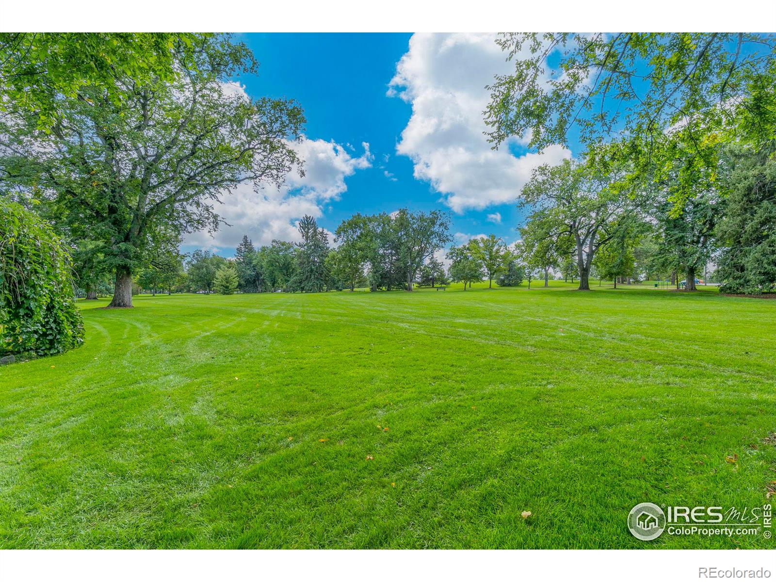 MLS Image #27 for 1005 w oak street,fort collins, Colorado