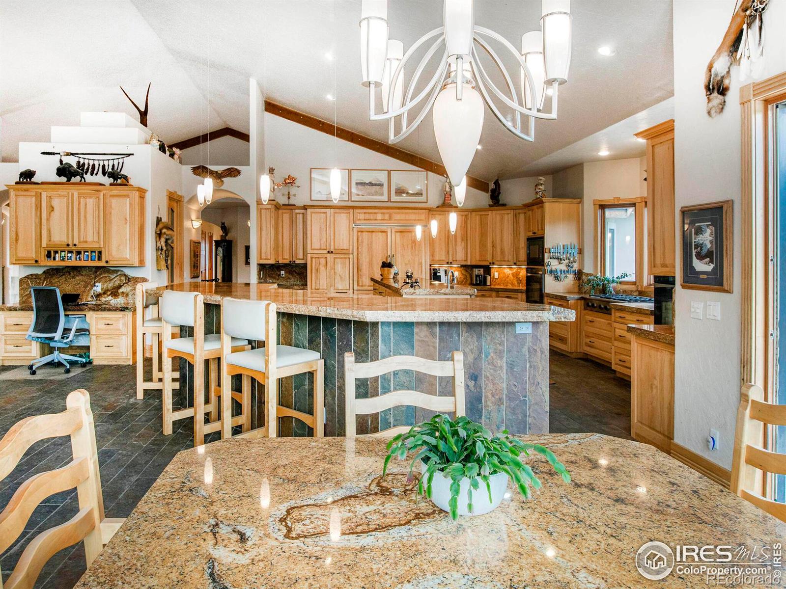 MLS Image #10 for 577  bear meadow trail,evergreen, Colorado