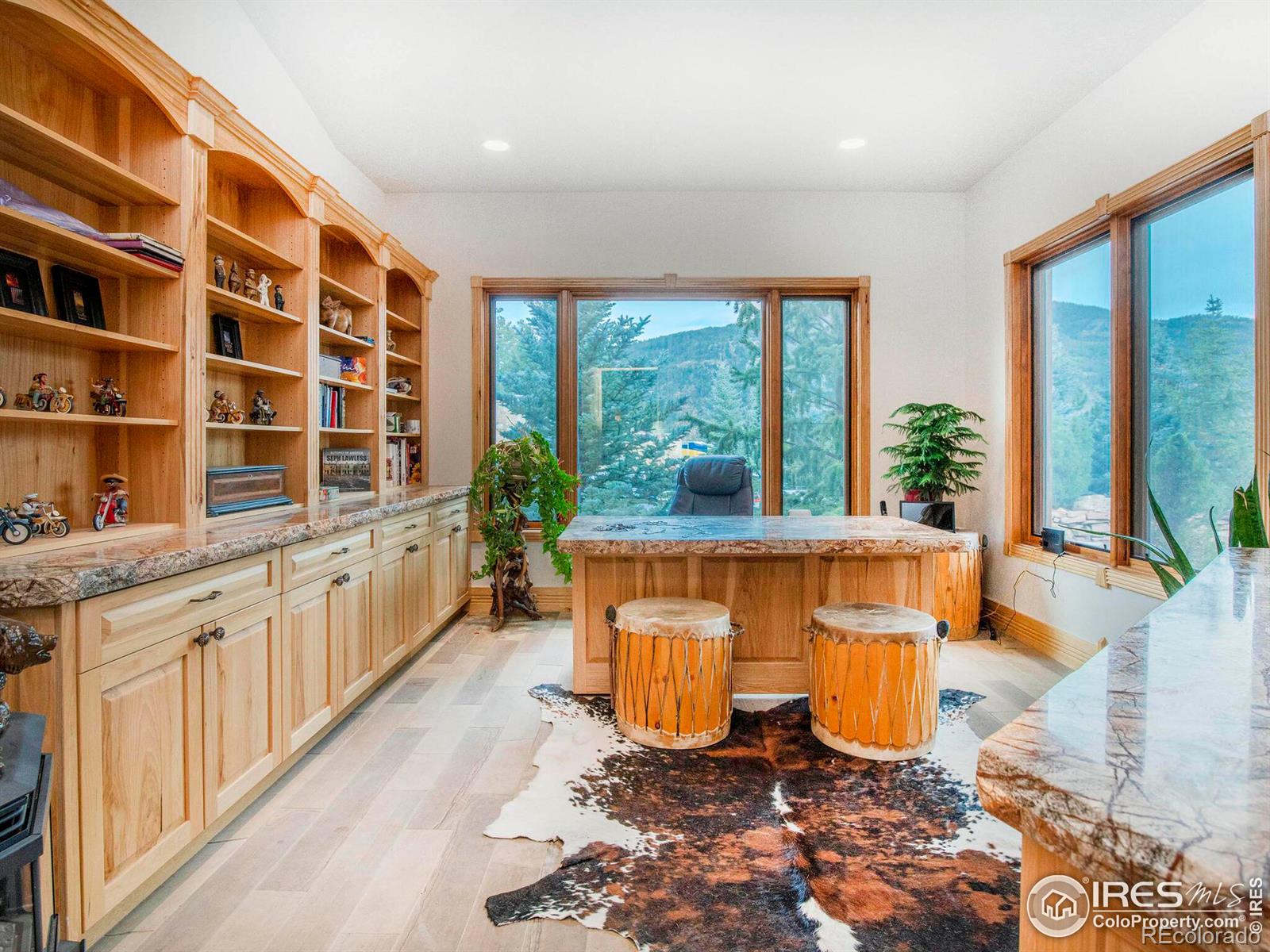 MLS Image #13 for 577  bear meadow trail,evergreen, Colorado