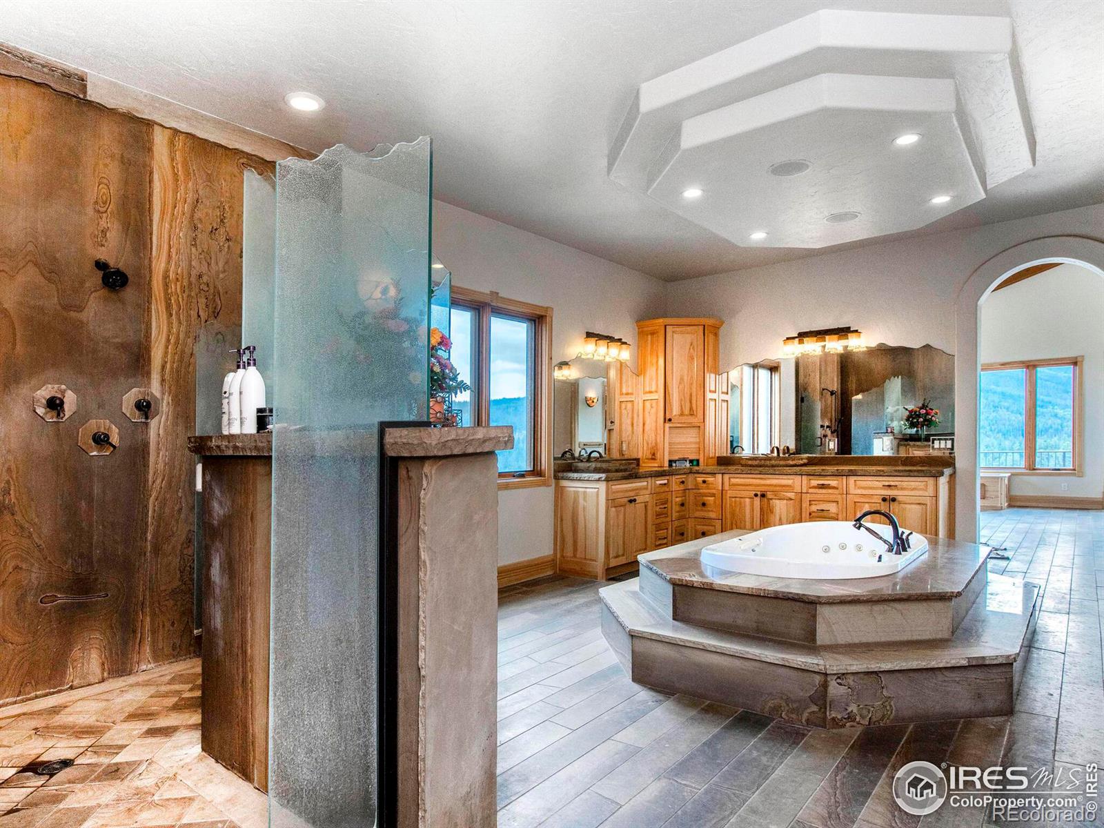 MLS Image #19 for 577  bear meadow trail,evergreen, Colorado