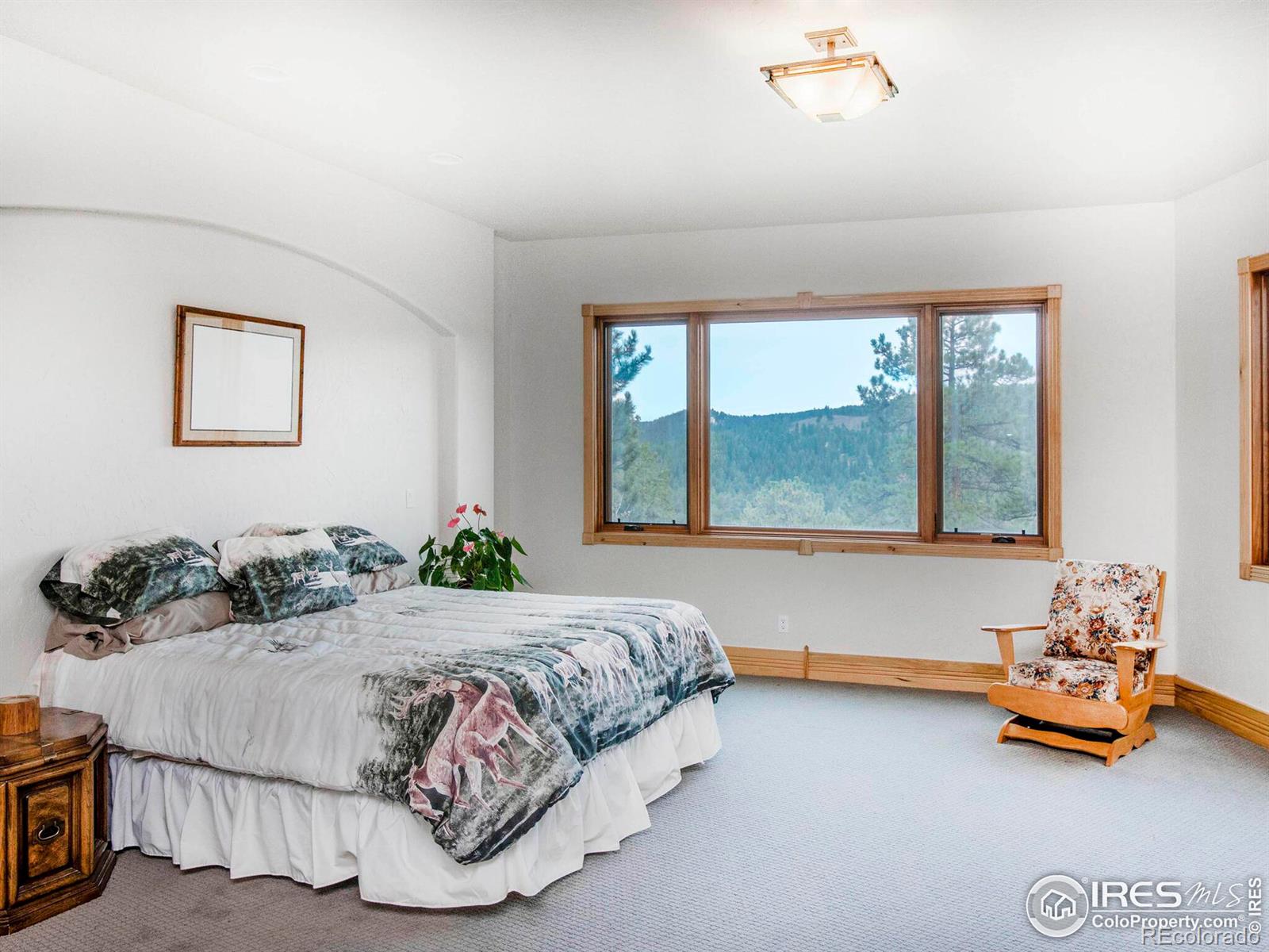 MLS Image #29 for 577  bear meadow trail,evergreen, Colorado