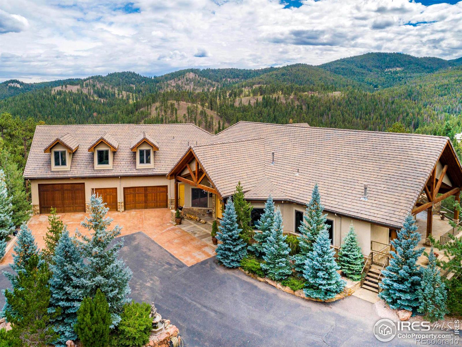 MLS Image #39 for 577  bear meadow trail,evergreen, Colorado