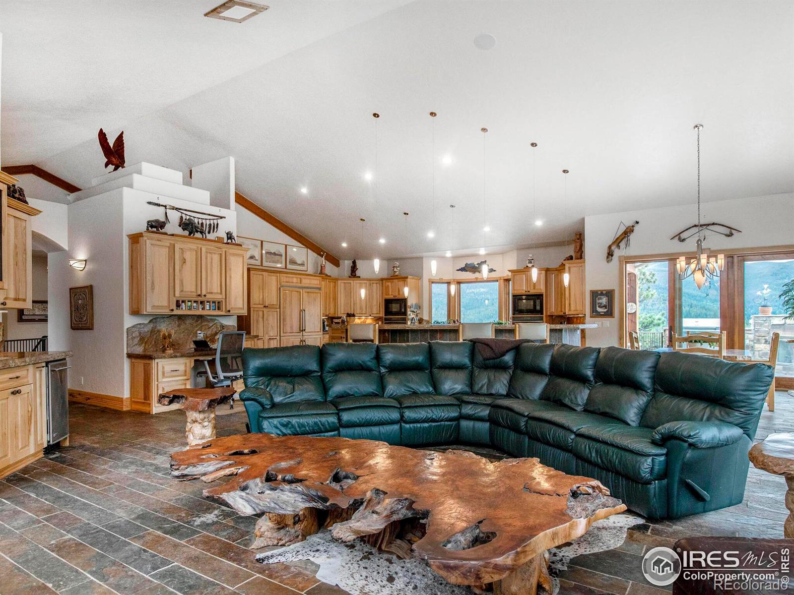 MLS Image #8 for 577  bear meadow trail,evergreen, Colorado