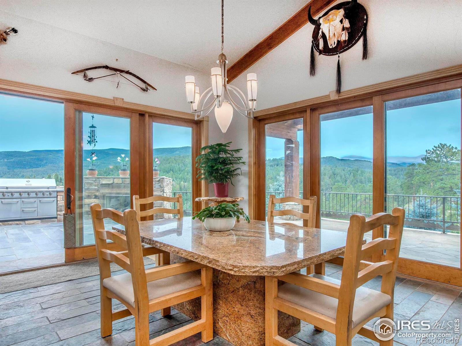 MLS Image #9 for 577  bear meadow trail,evergreen, Colorado