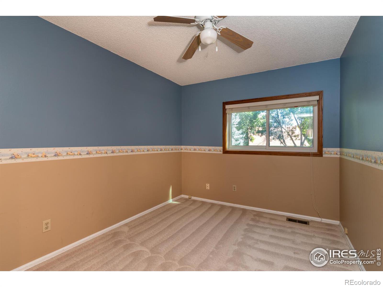 MLS Image #12 for 12636  hazel street,broomfield, Colorado