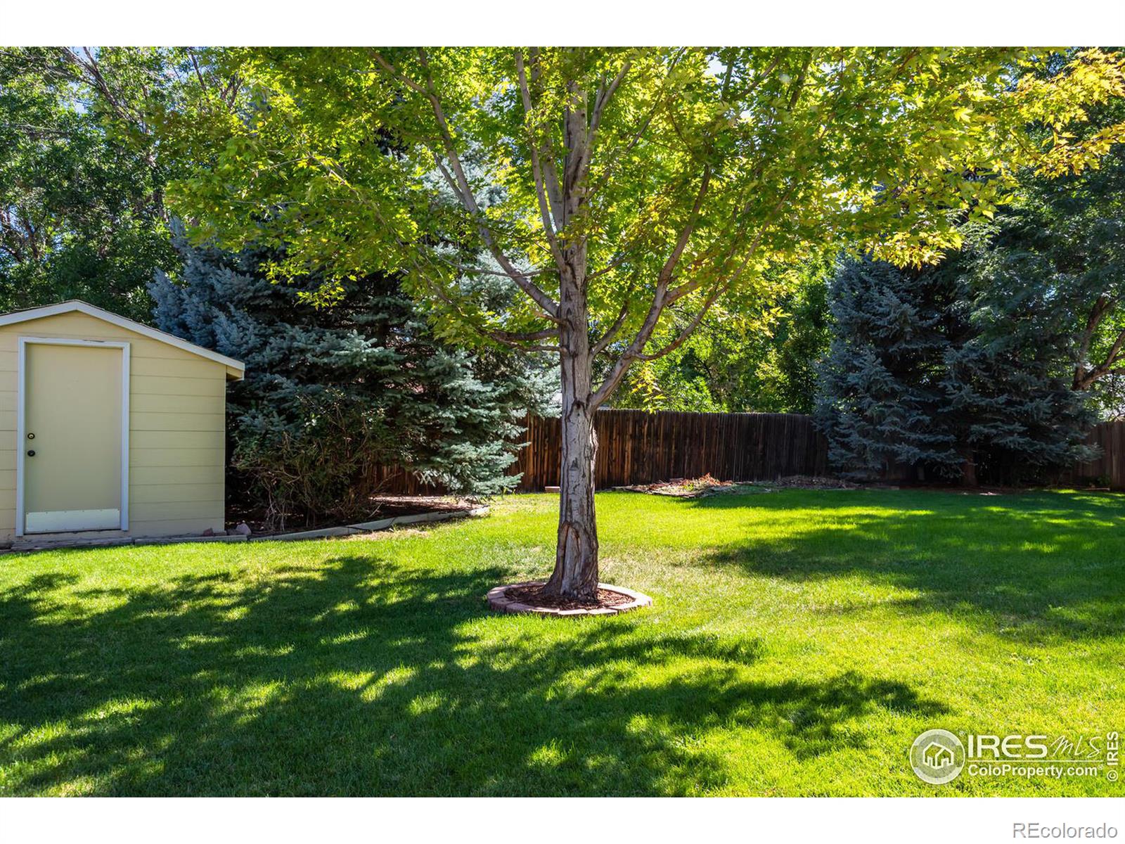 MLS Image #15 for 12636  hazel street,broomfield, Colorado