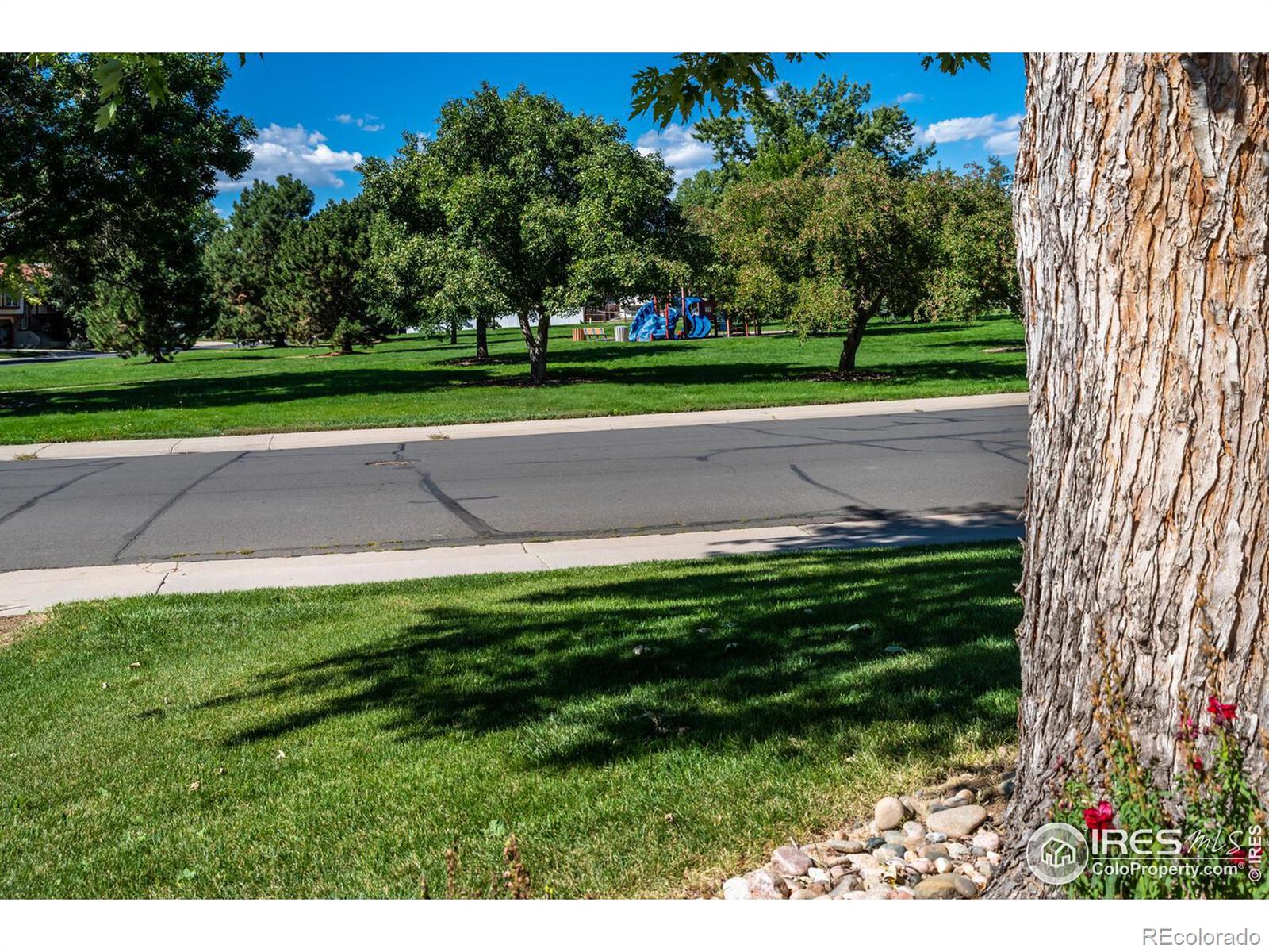 MLS Image #17 for 12636  hazel street,broomfield, Colorado