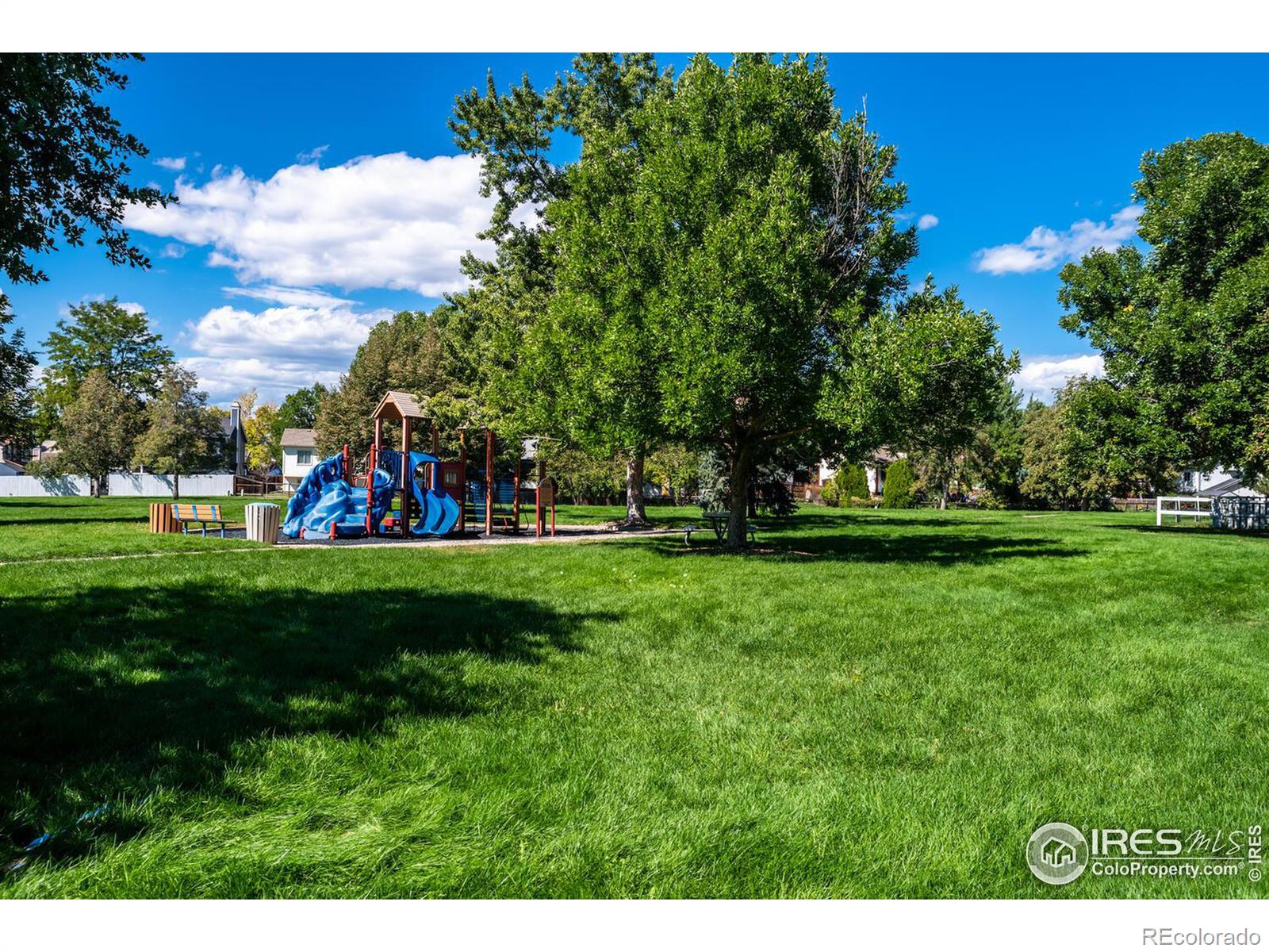 MLS Image #18 for 12636  hazel street,broomfield, Colorado