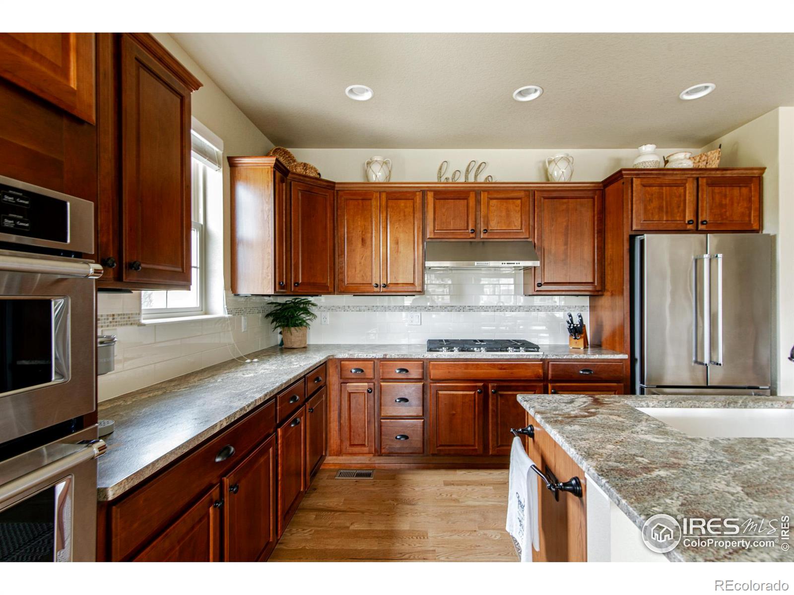 MLS Image #11 for 4434  angelina circle,longmont, Colorado