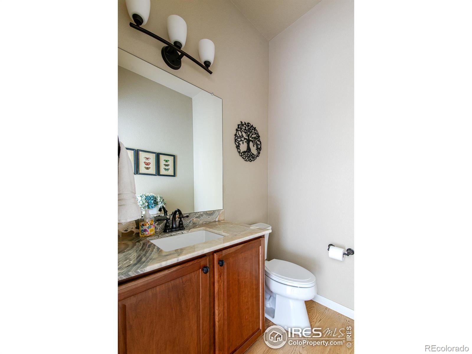 MLS Image #22 for 4434  angelina circle,longmont, Colorado