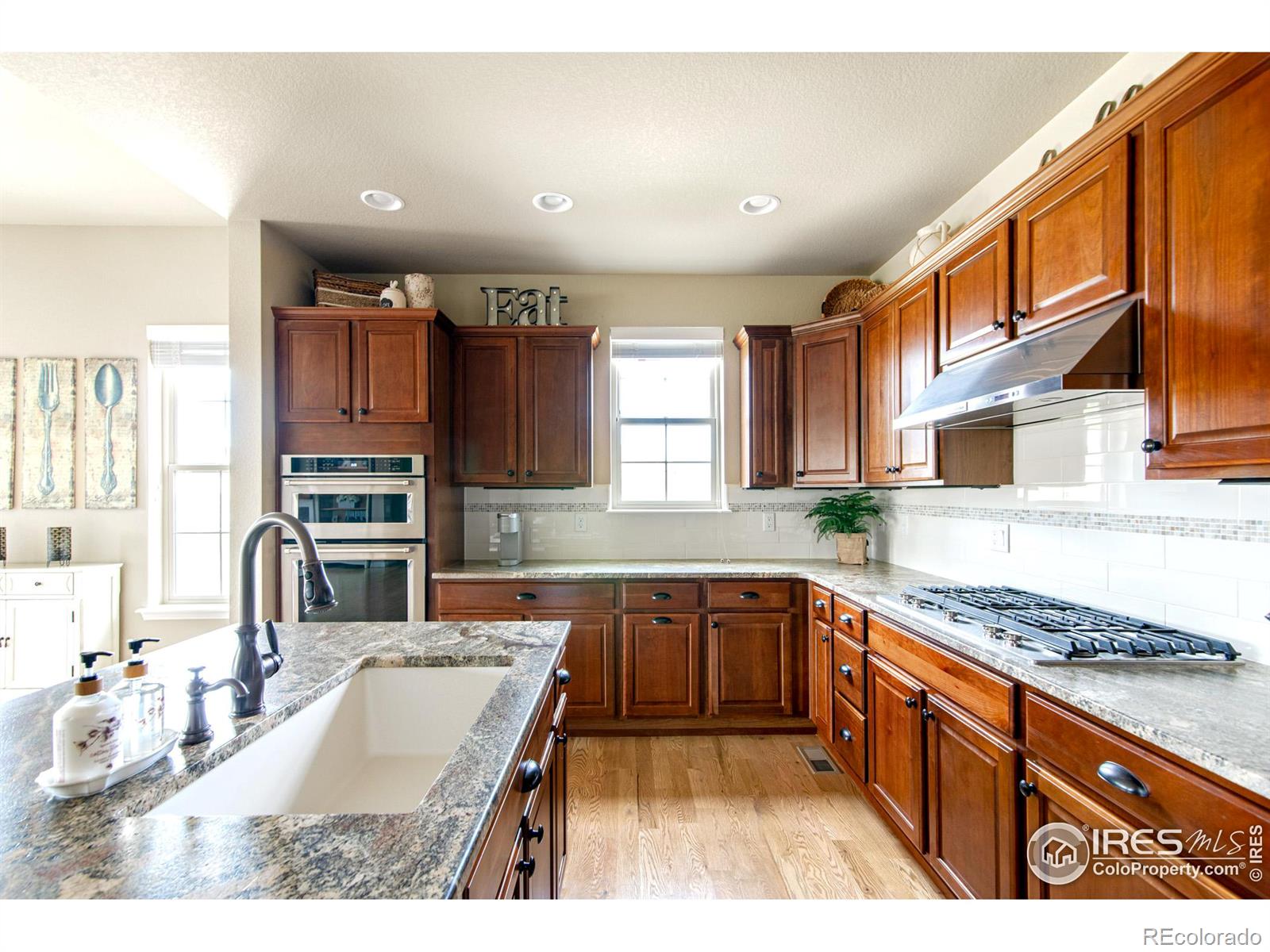 MLS Image #9 for 4434  angelina circle,longmont, Colorado