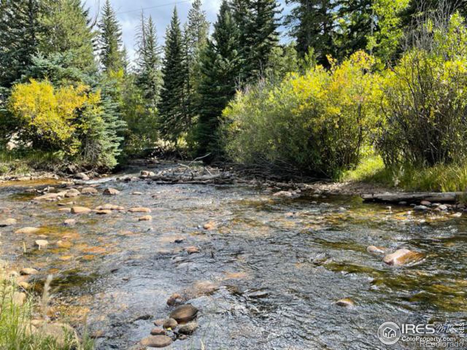 MLS Image #11 for 146  hummer drive,nederland, Colorado