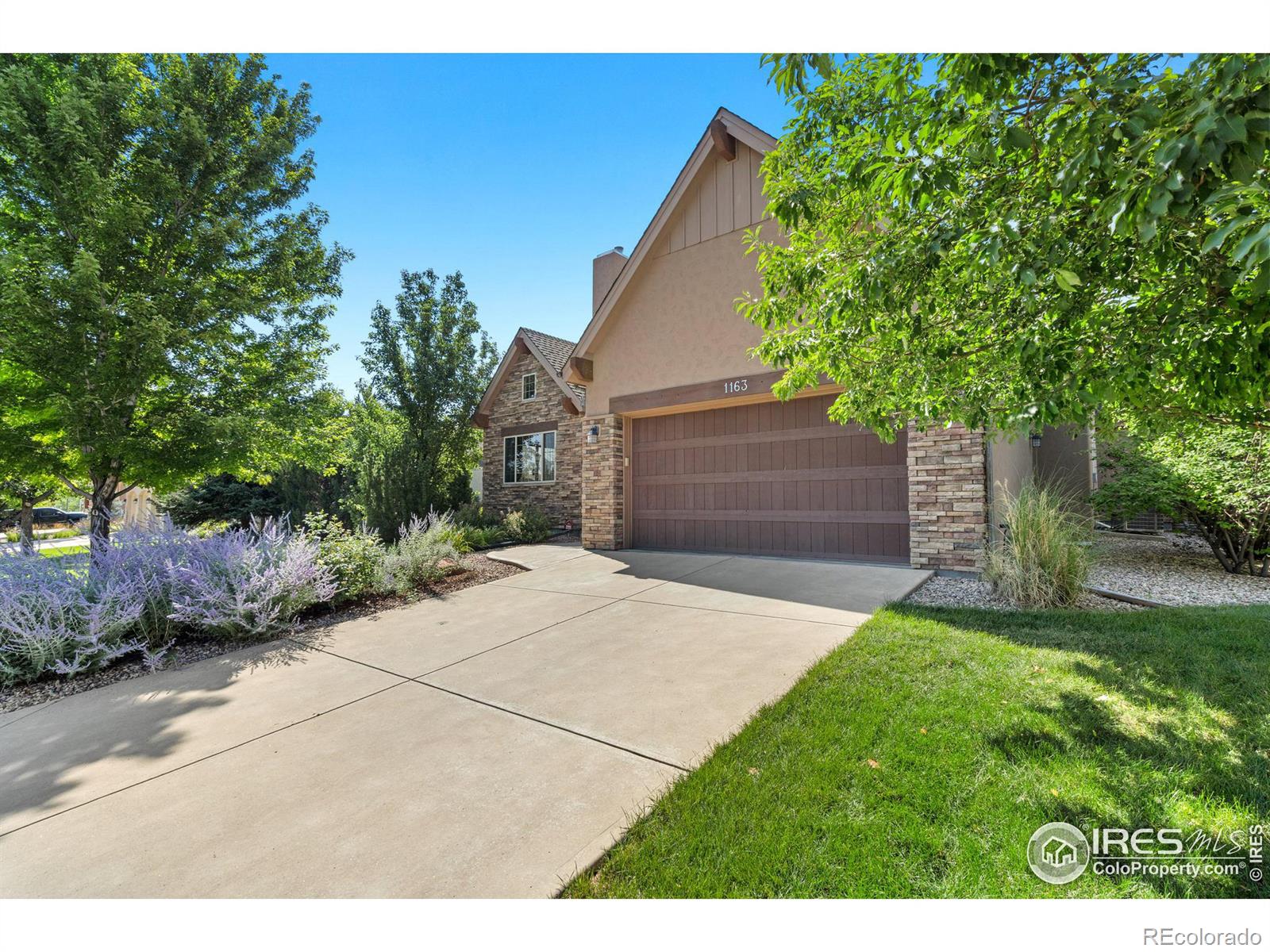 MLS Image #2 for 1163  picard lane,fort collins, Colorado