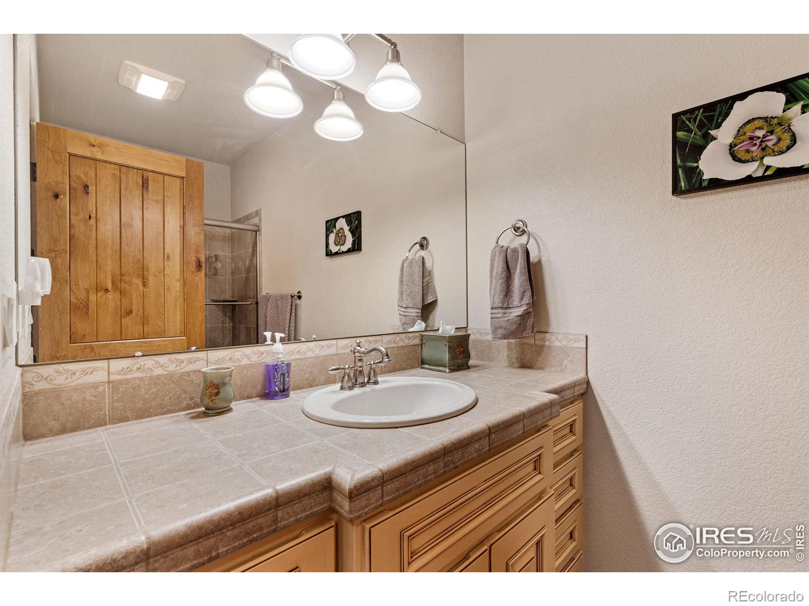 MLS Image #23 for 1163  picard lane,fort collins, Colorado