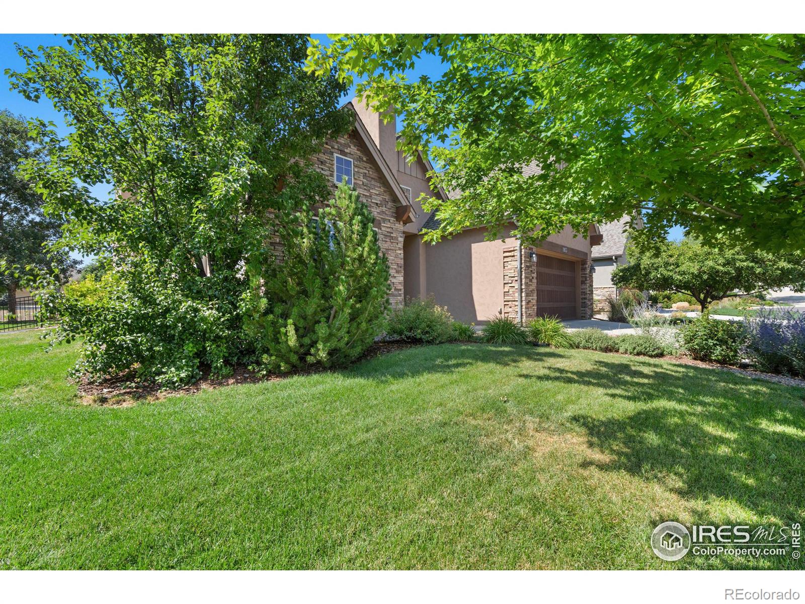 MLS Image #3 for 1163  picard lane,fort collins, Colorado