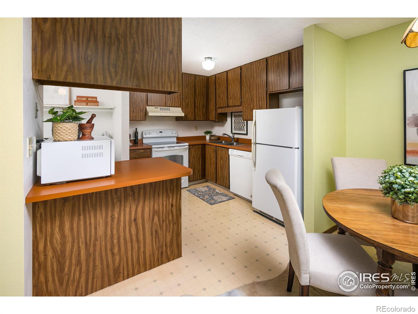 MLS Image #10 for 925  columbia road,fort collins, Colorado