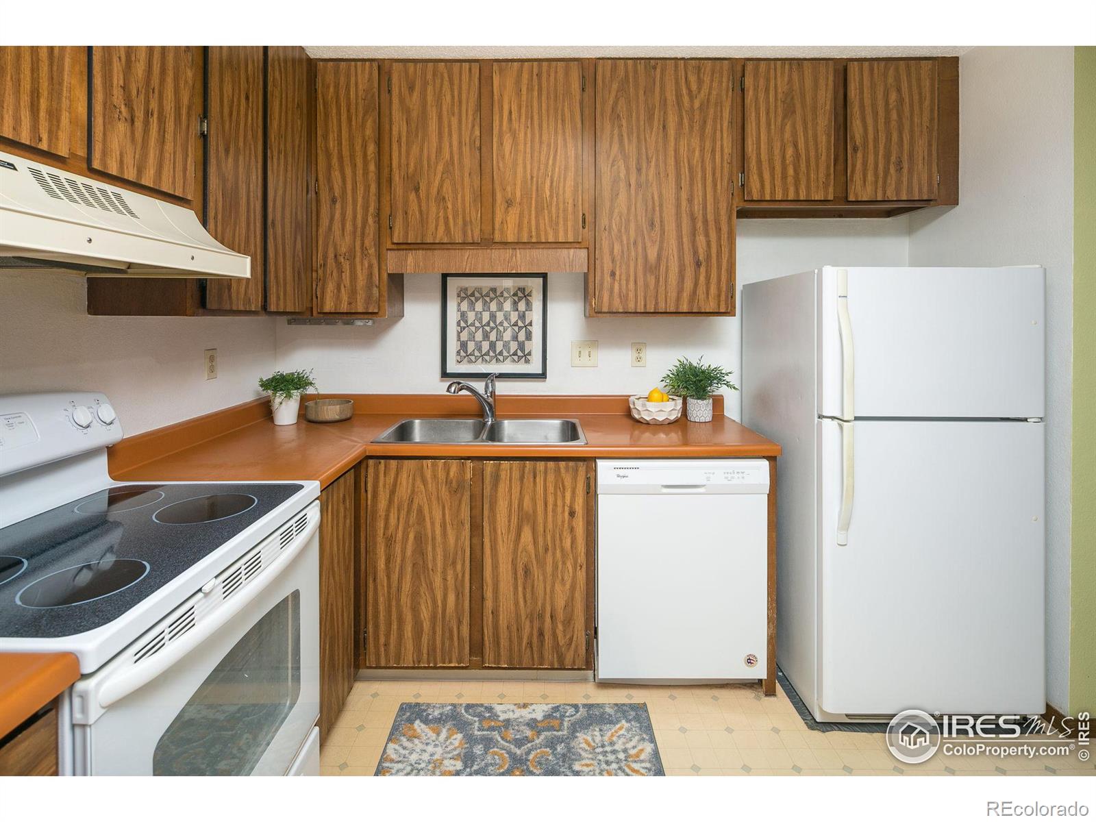 MLS Image #11 for 925  columbia road,fort collins, Colorado