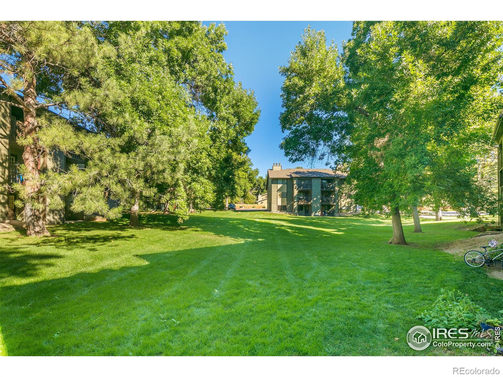 MLS Image #21 for 925  columbia road,fort collins, Colorado