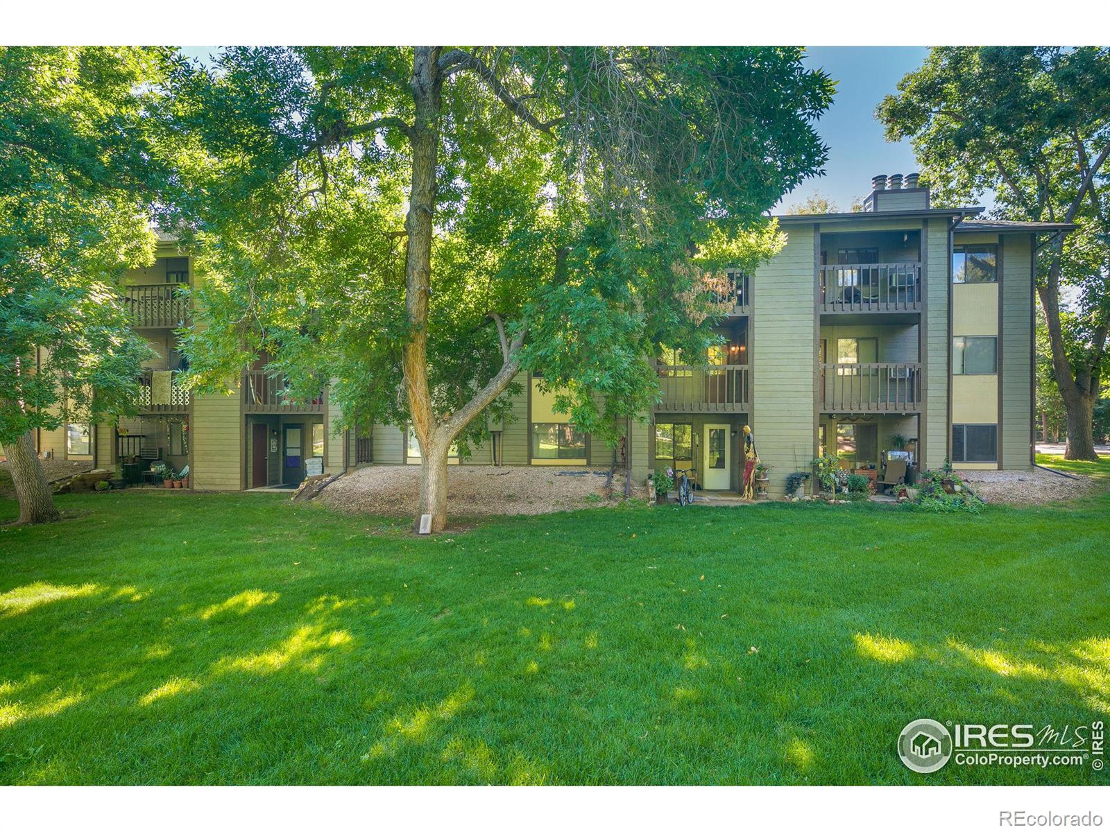 MLS Image #22 for 925  columbia road,fort collins, Colorado