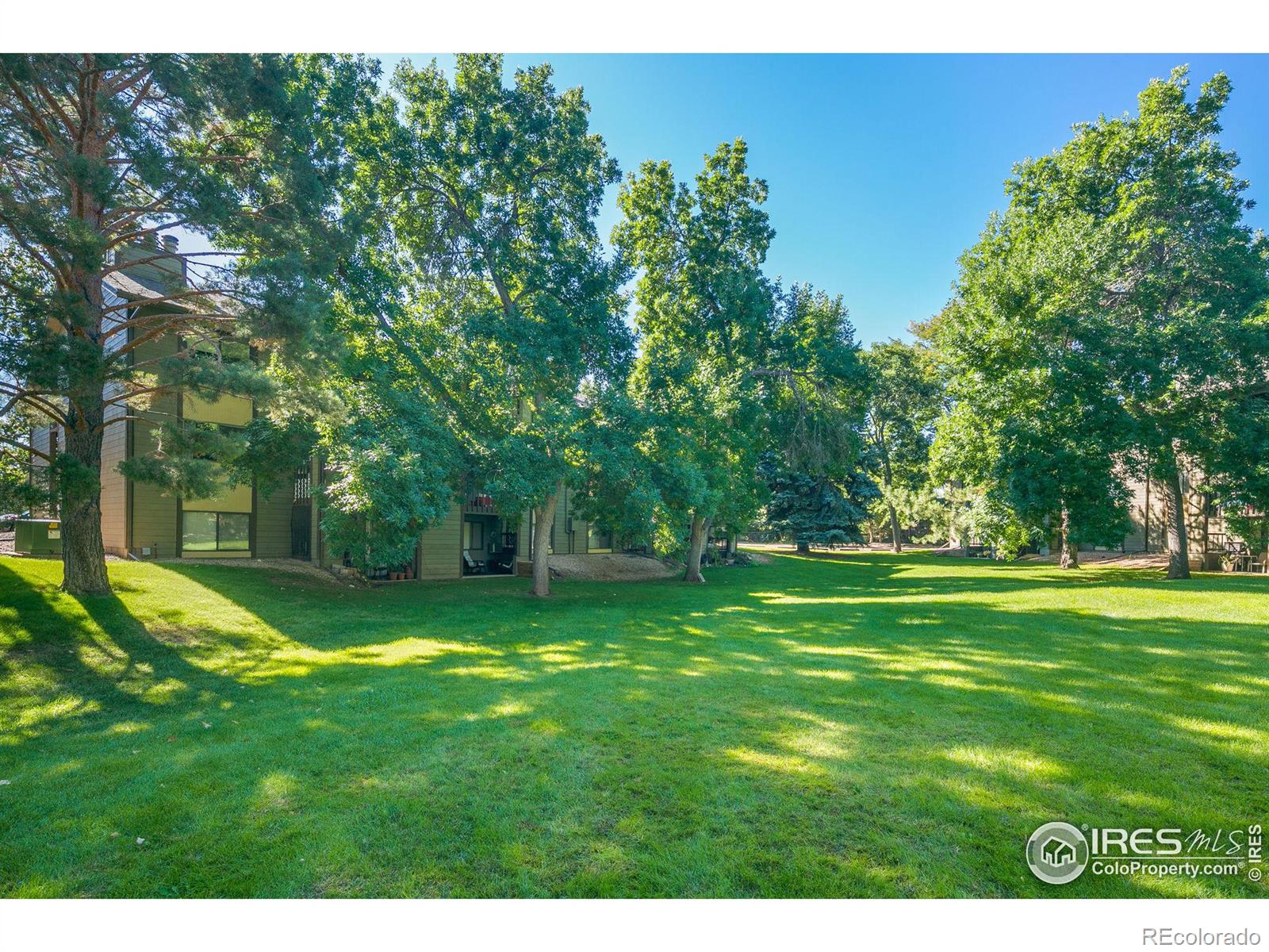 MLS Image #23 for 925  columbia road,fort collins, Colorado