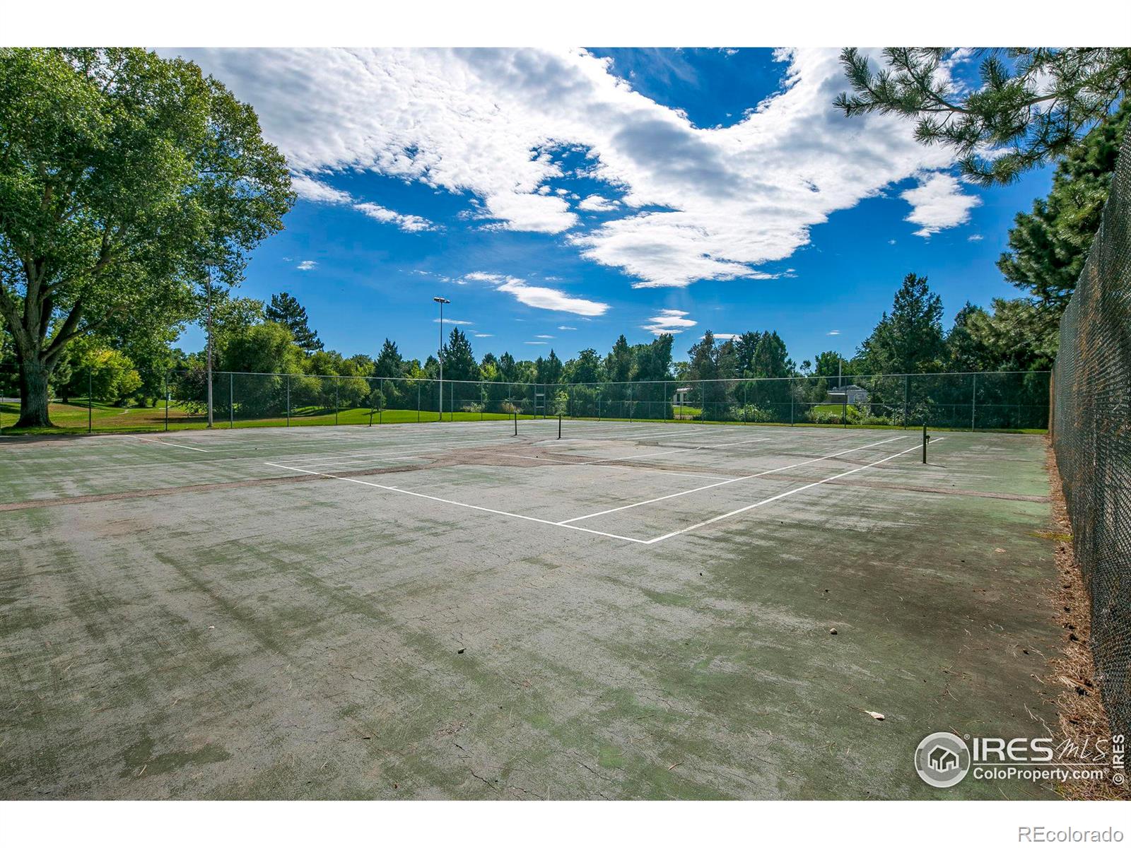 MLS Image #25 for 925  columbia road,fort collins, Colorado