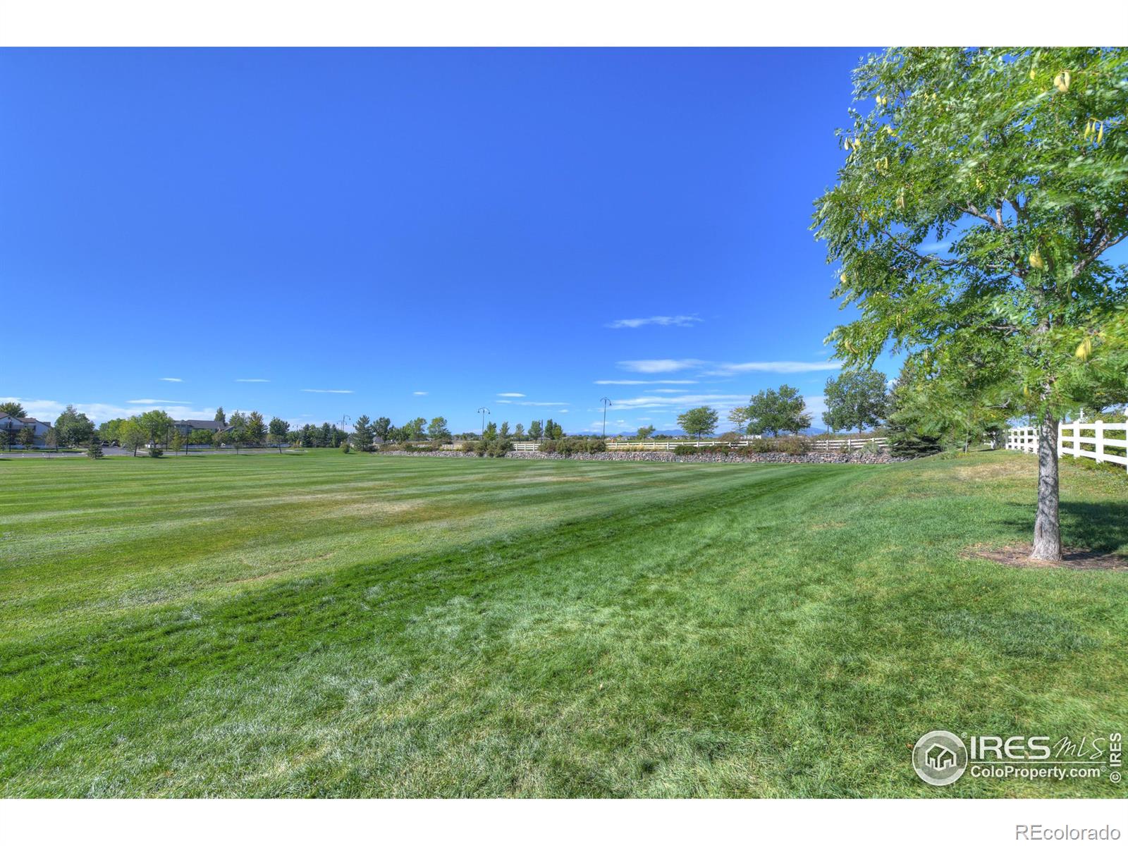 MLS Image #27 for 14241  craftsman way,broomfield, Colorado