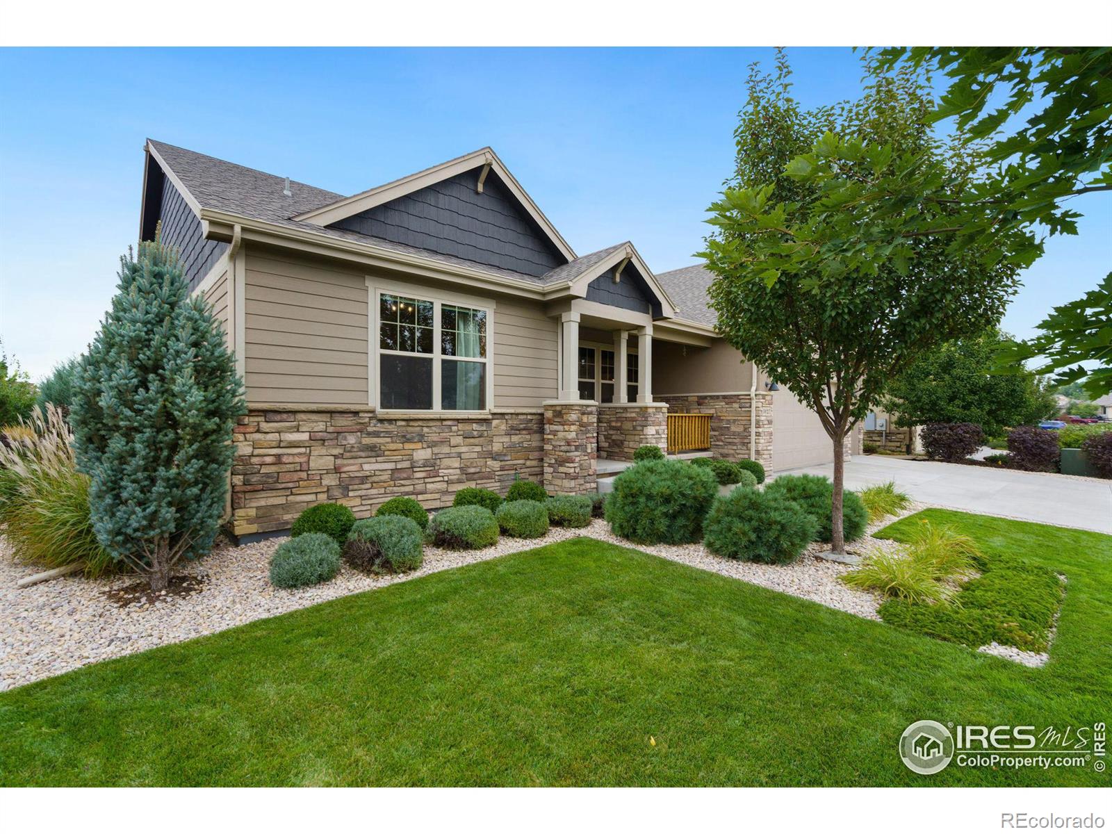 Report Image for 1027  Terrace View Street,Timnath, Colorado