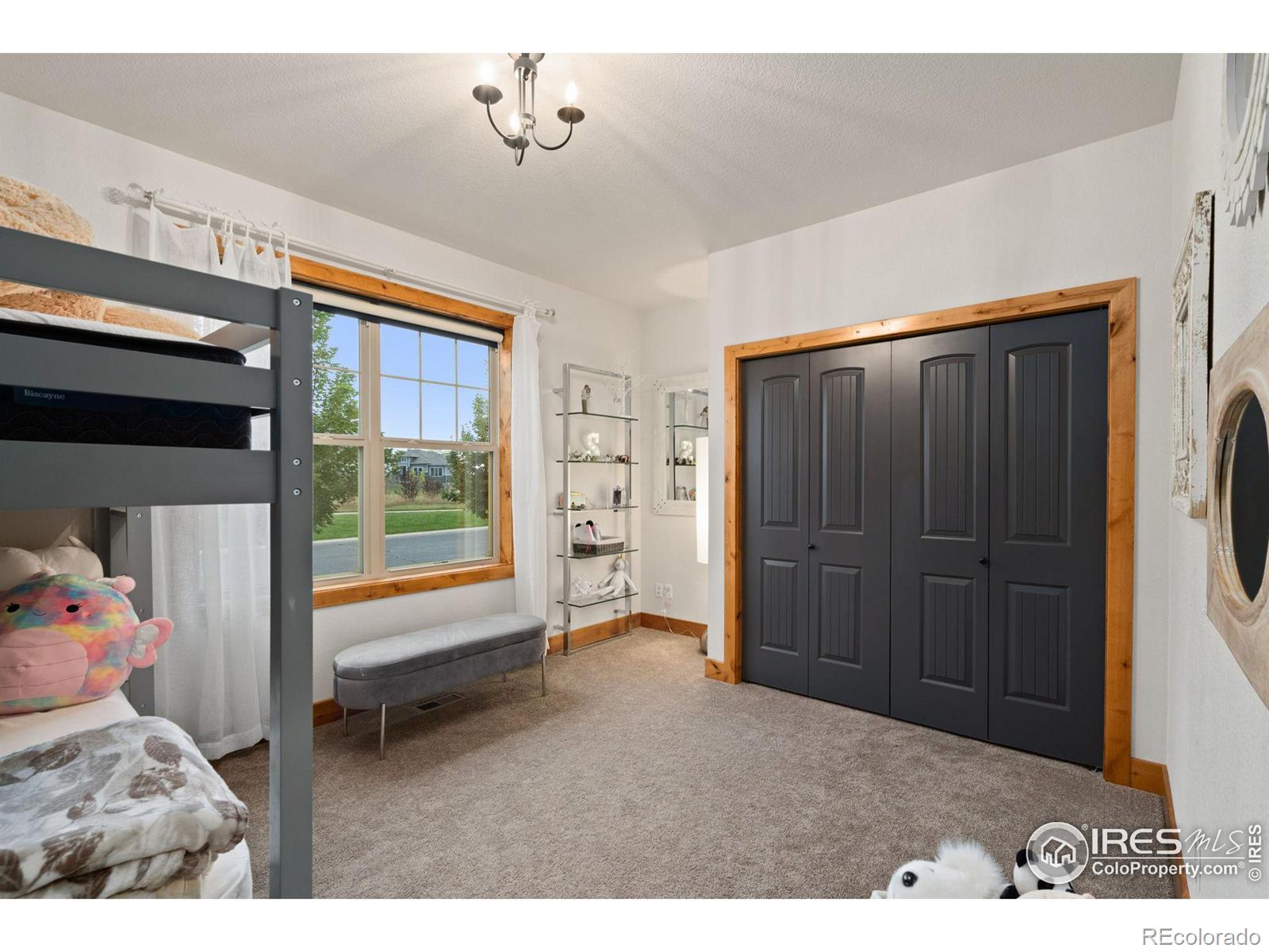 MLS Image #21 for 1027  terrace view street,timnath, Colorado