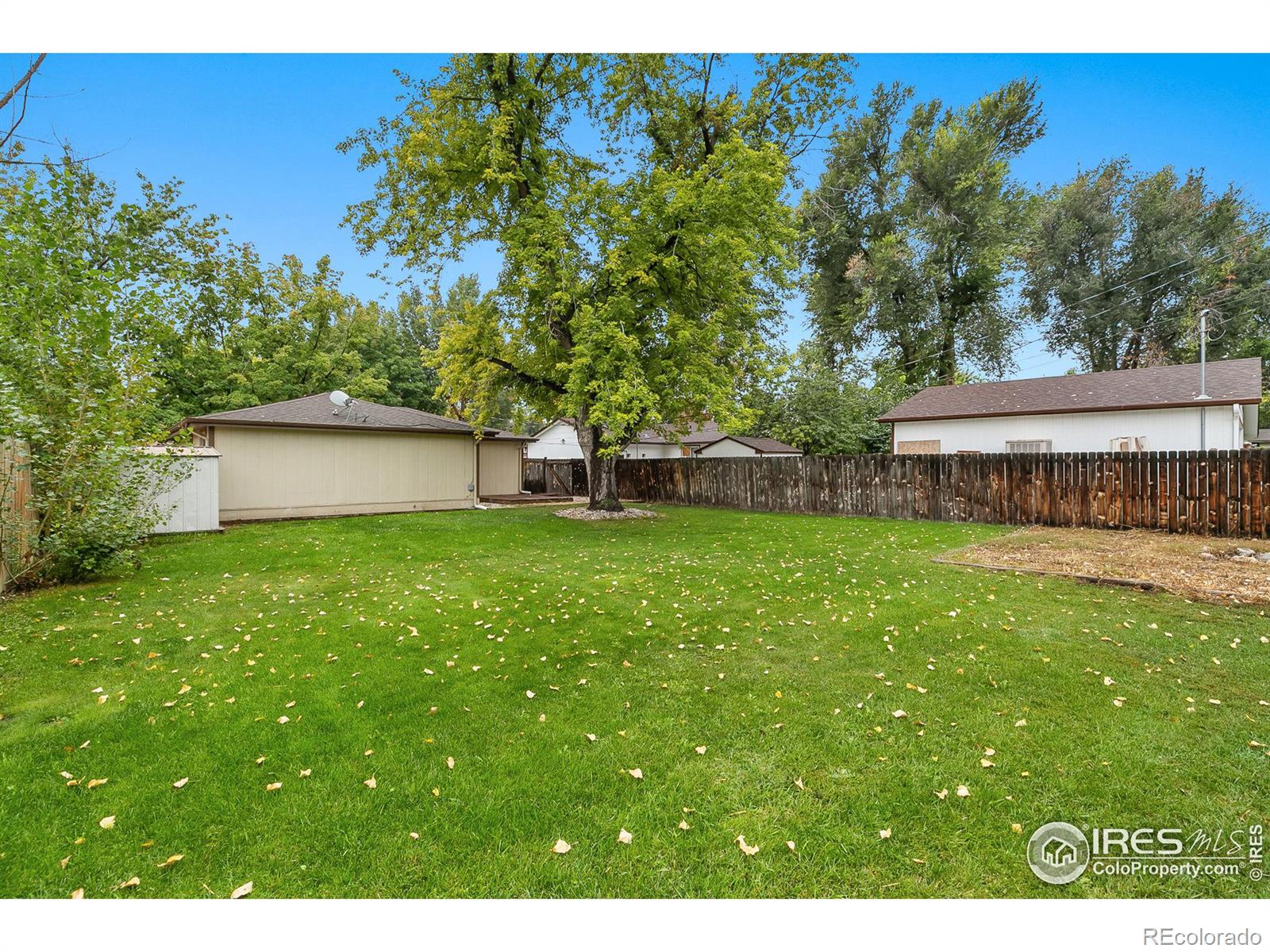 MLS Image #17 for 1489 e 6th street,loveland, Colorado