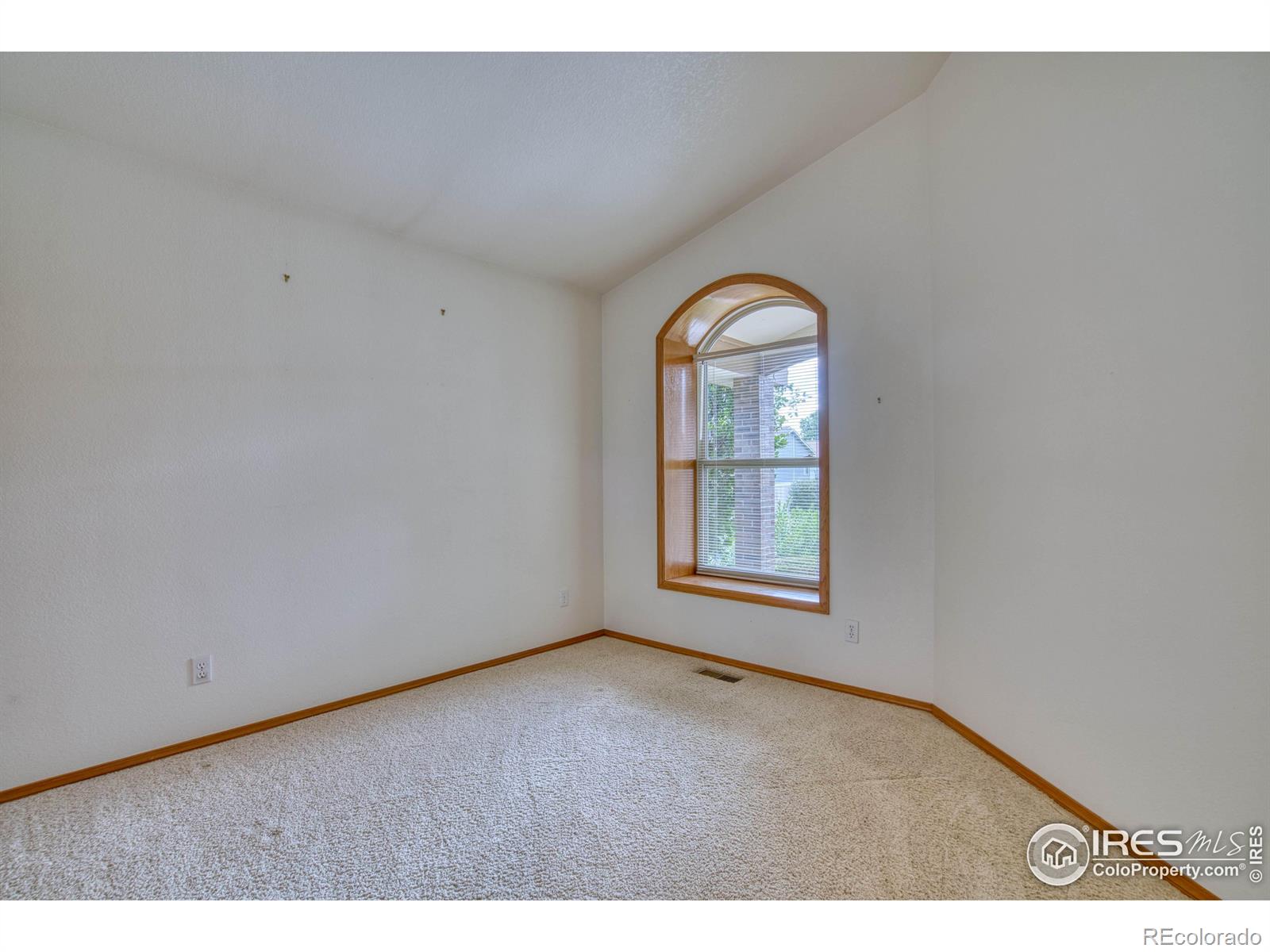 MLS Image #21 for 2916  troxell avenue,longmont, Colorado