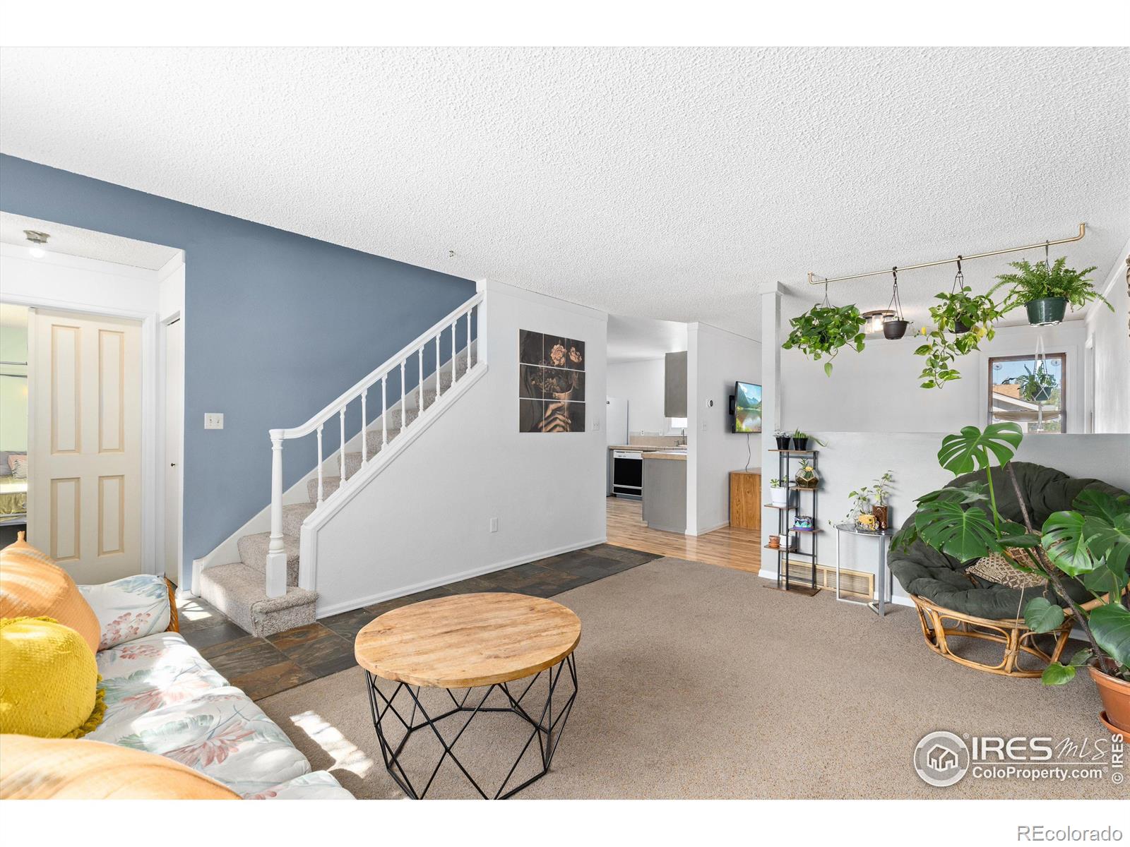 MLS Image #6 for 1361  garden circle,longmont, Colorado