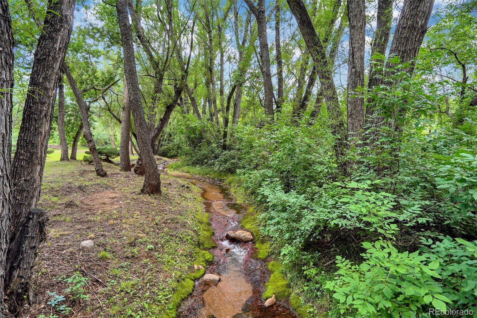 MLS Image #18 for 903 w cheyenne road,colorado springs, Colorado