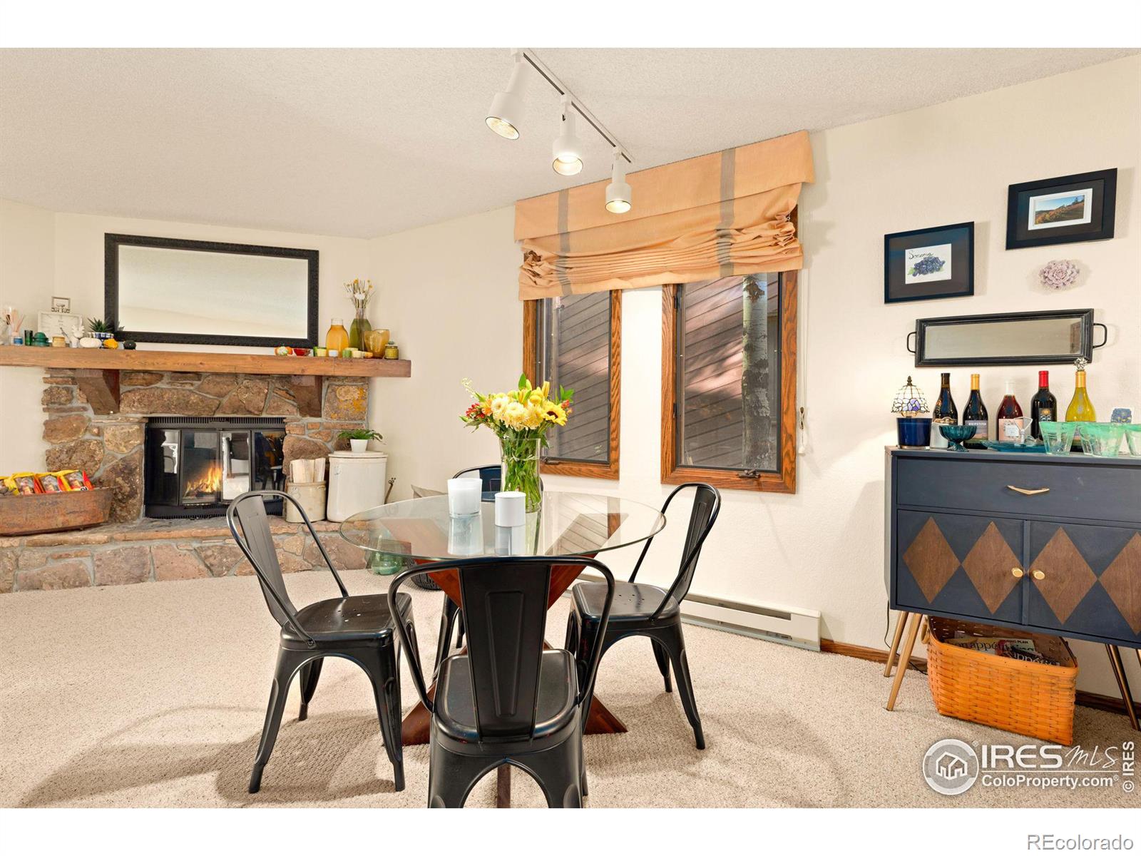 MLS Image #10 for 640  macgregor avenue,estes park, Colorado