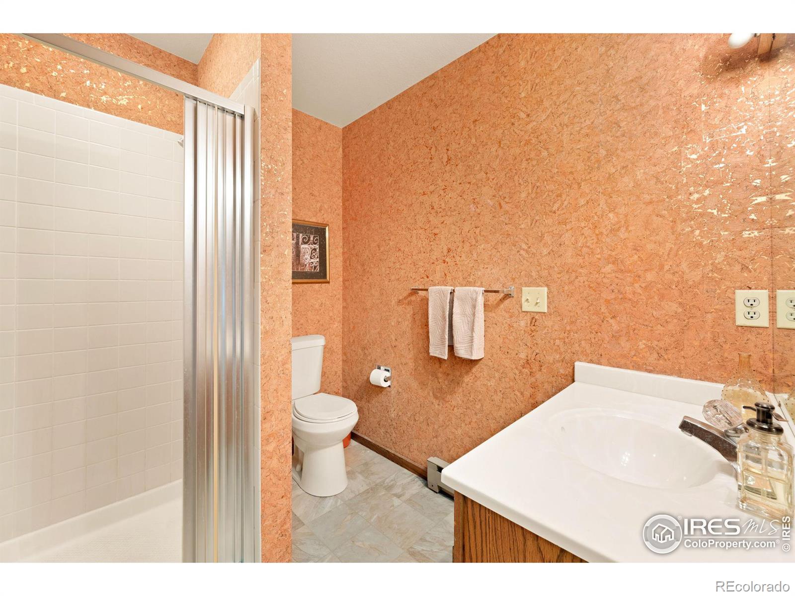MLS Image #27 for 640  macgregor avenue,estes park, Colorado