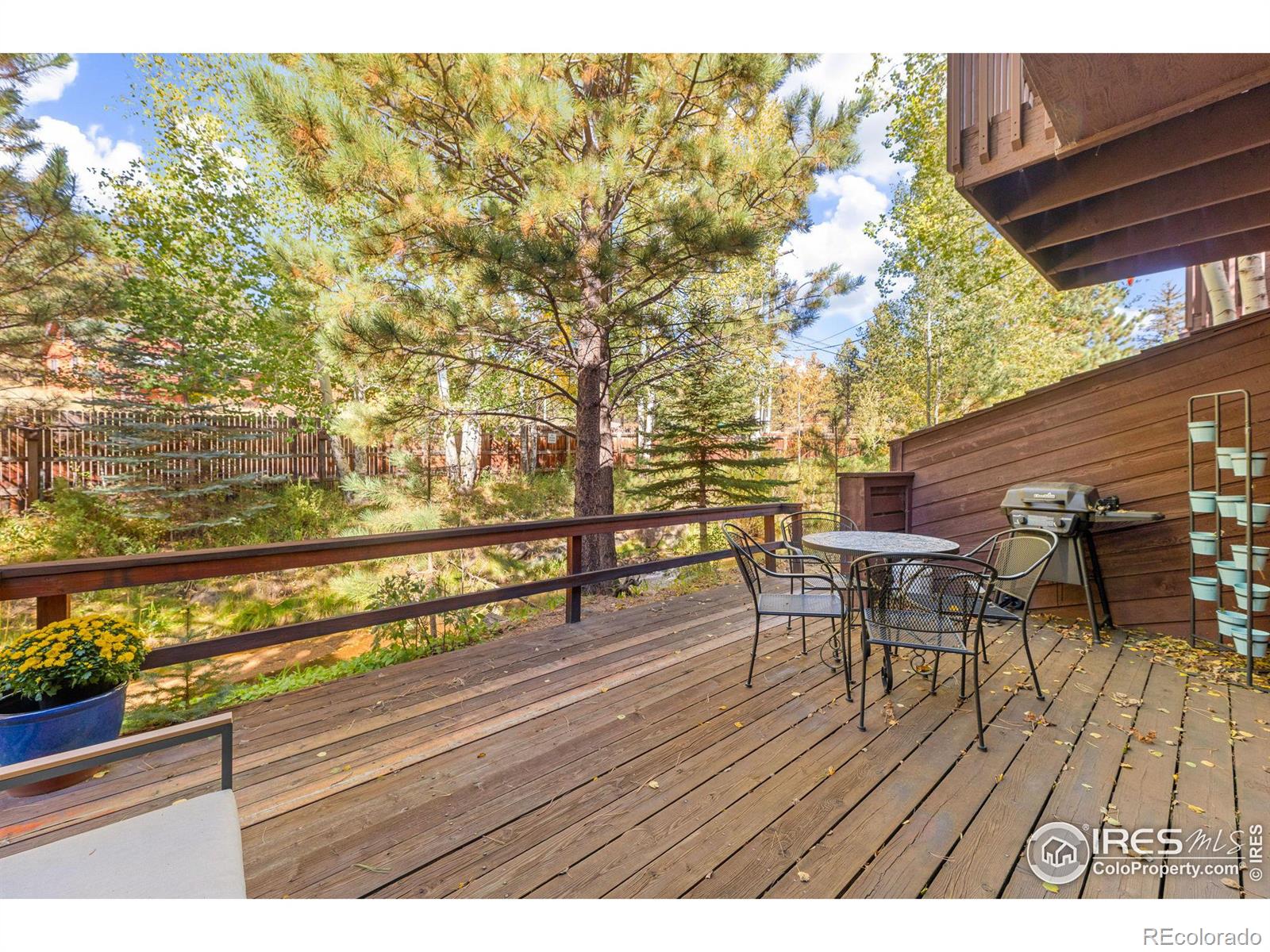 MLS Image #32 for 640  macgregor avenue,estes park, Colorado