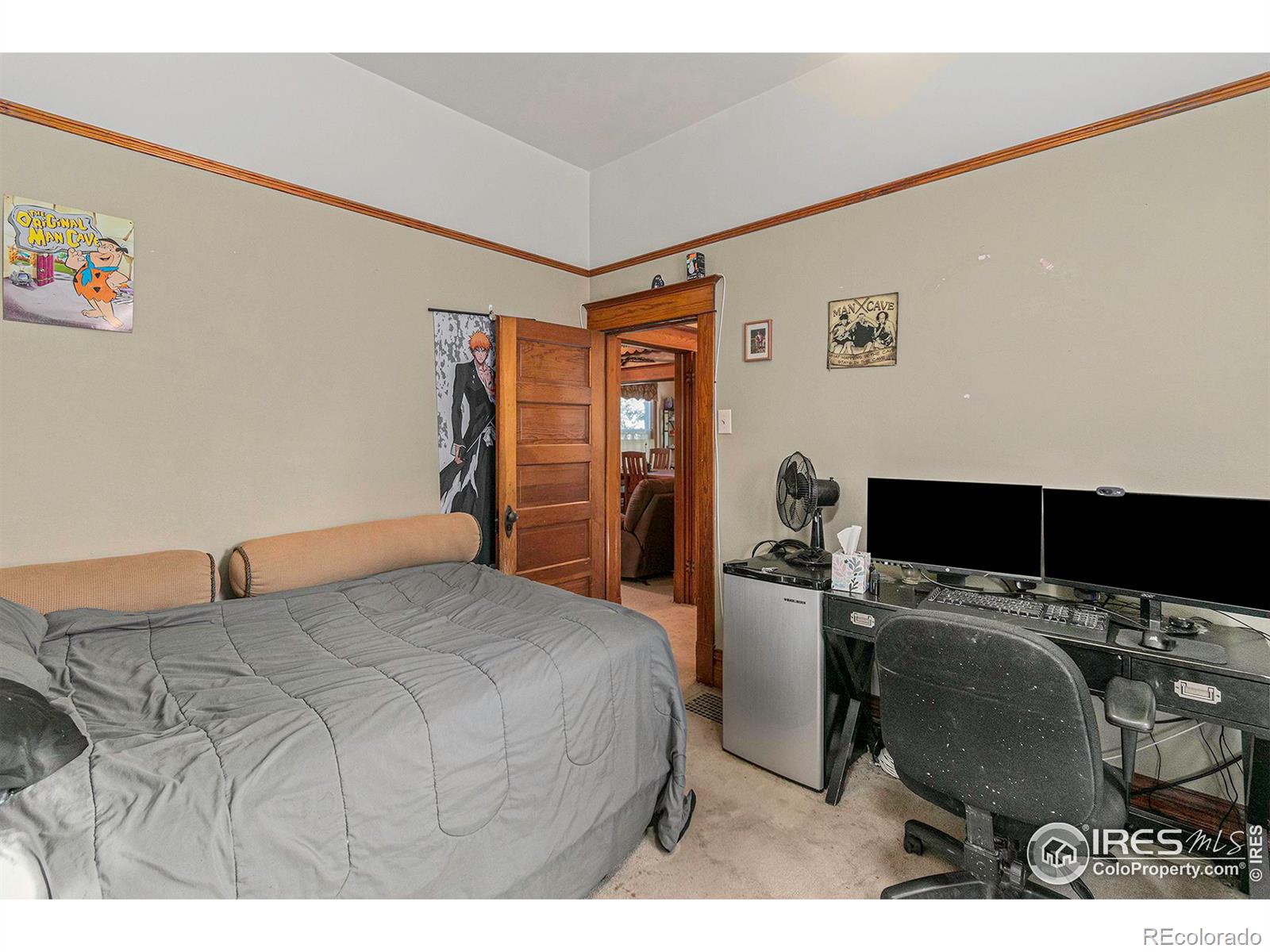 MLS Image #10 for 219 w park avenue,pierce, Colorado