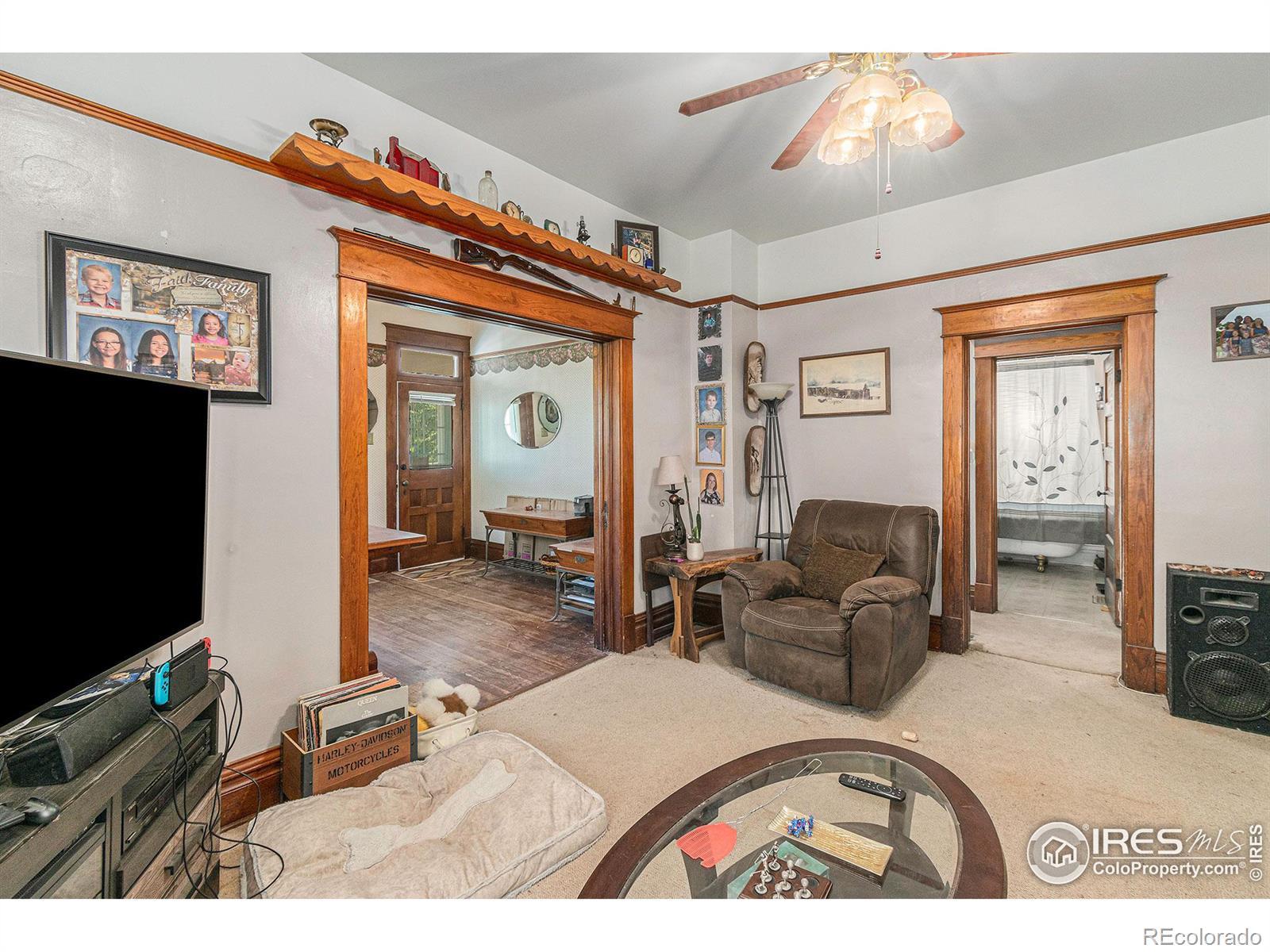 MLS Image #5 for 219 w park avenue,pierce, Colorado