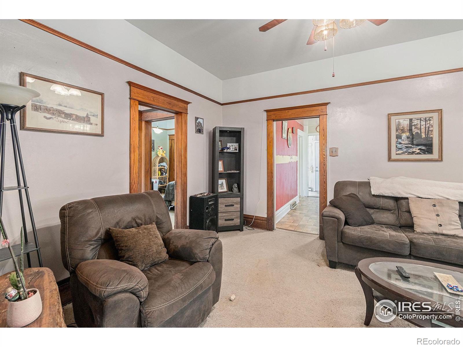 MLS Image #6 for 219 w park avenue,pierce, Colorado