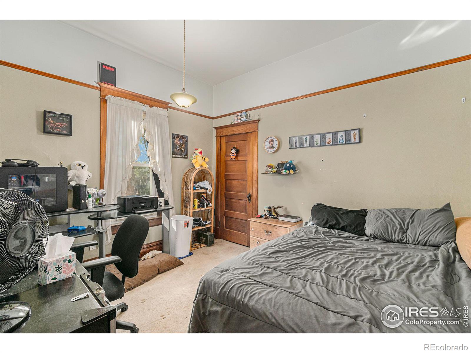 MLS Image #9 for 219 w park avenue,pierce, Colorado