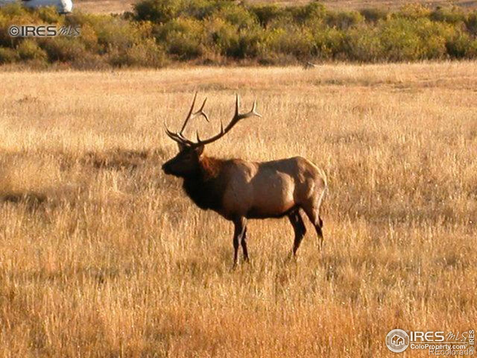 MLS Image #5 for 1565  highway 66 ,estes park, Colorado