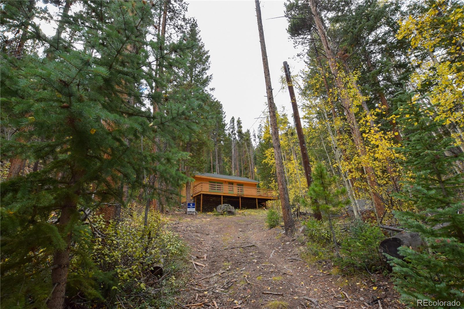 MLS Image #23 for 420  morrison lane,empire, Colorado