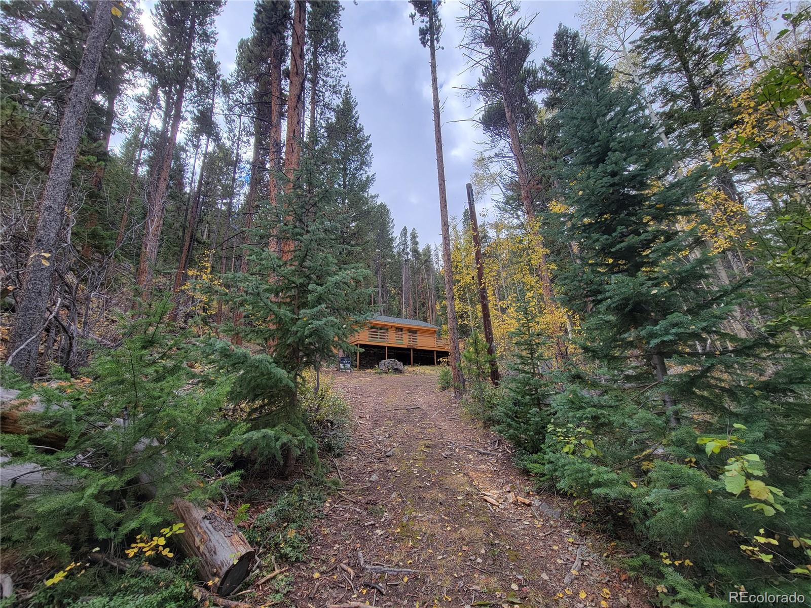 MLS Image #25 for 420  morrison lane,empire, Colorado