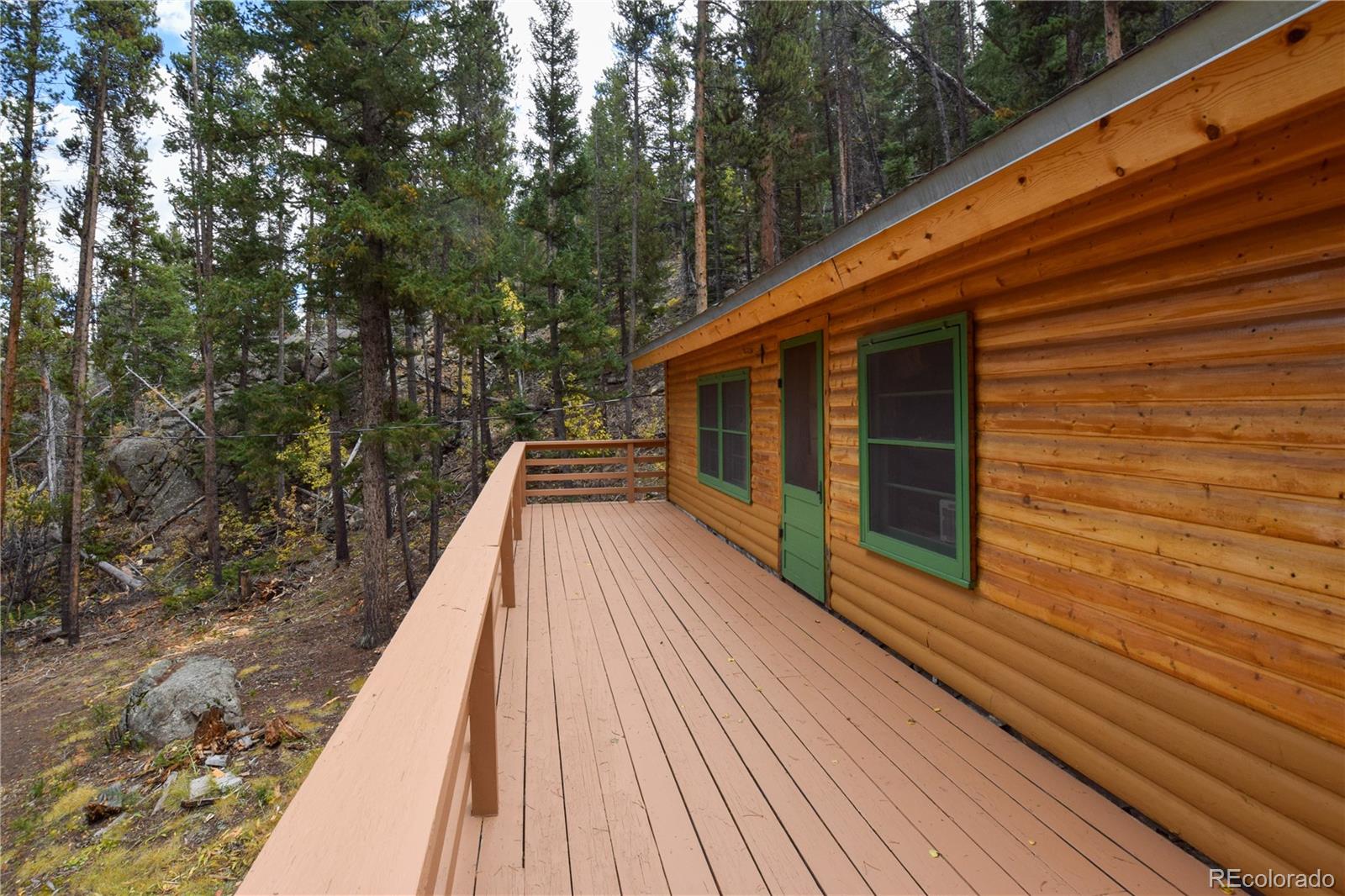 MLS Image #6 for 420  morrison lane,empire, Colorado