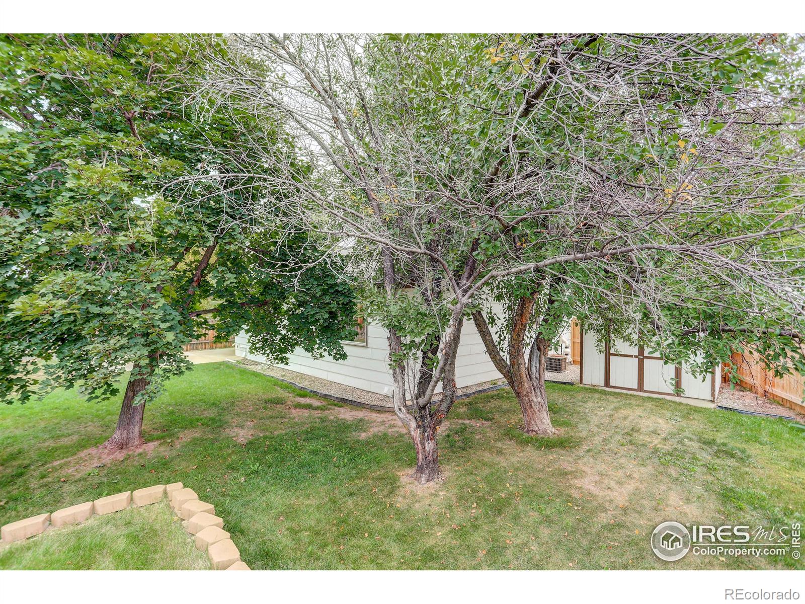 MLS Image #39 for 3525  dark star court,fort collins, Colorado