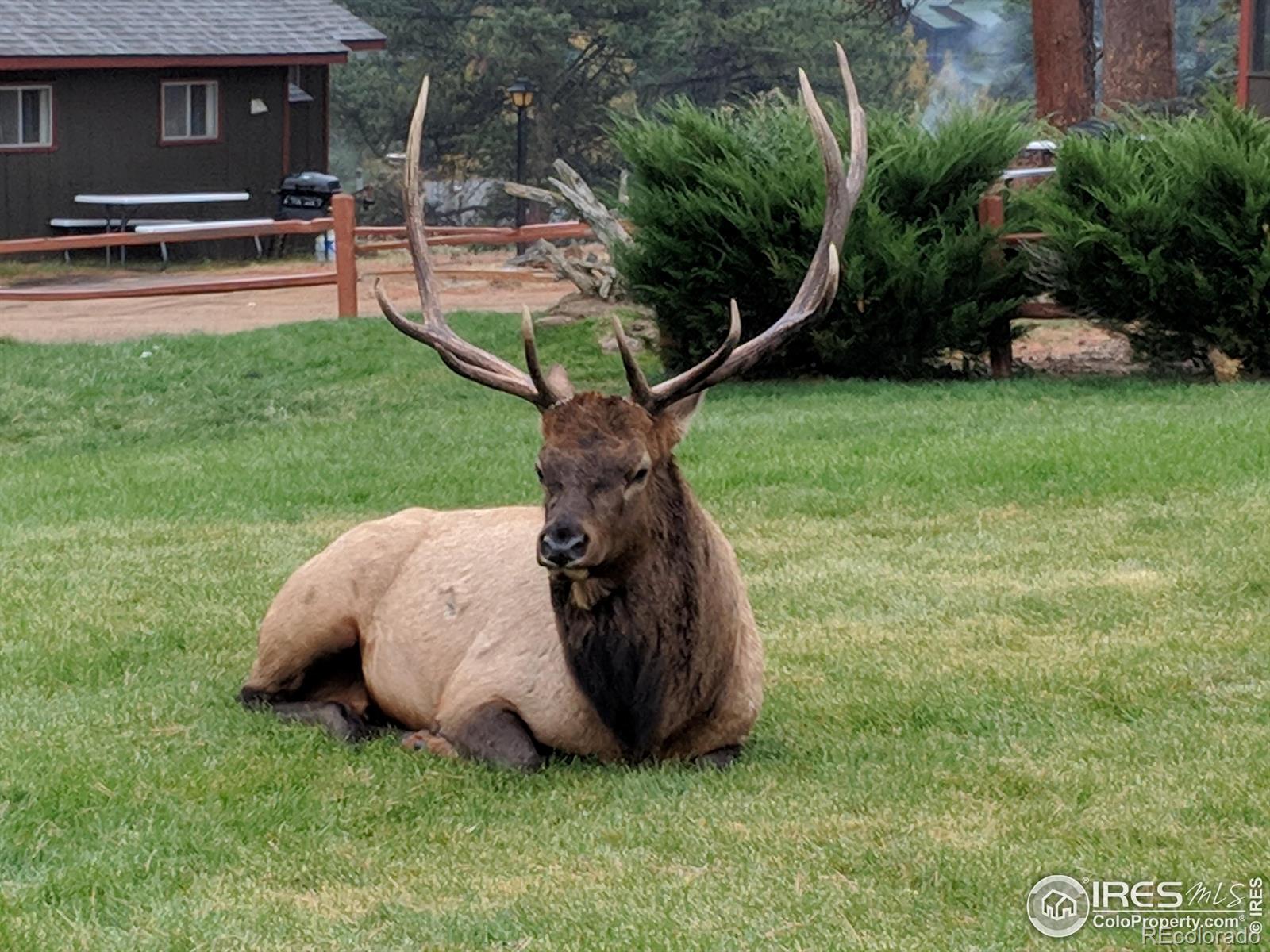 MLS Image #13 for 1141  fairway club circle,estes park, Colorado