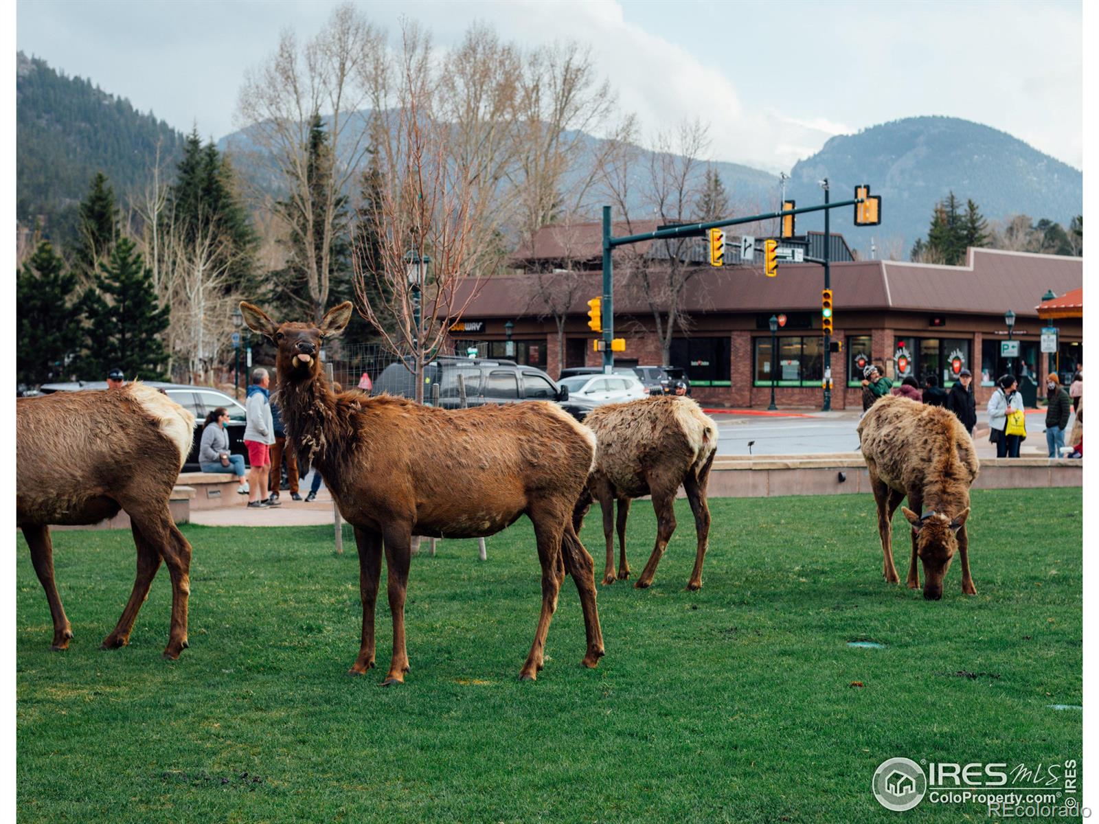 MLS Image #16 for 1141  fairway club circle,estes park, Colorado