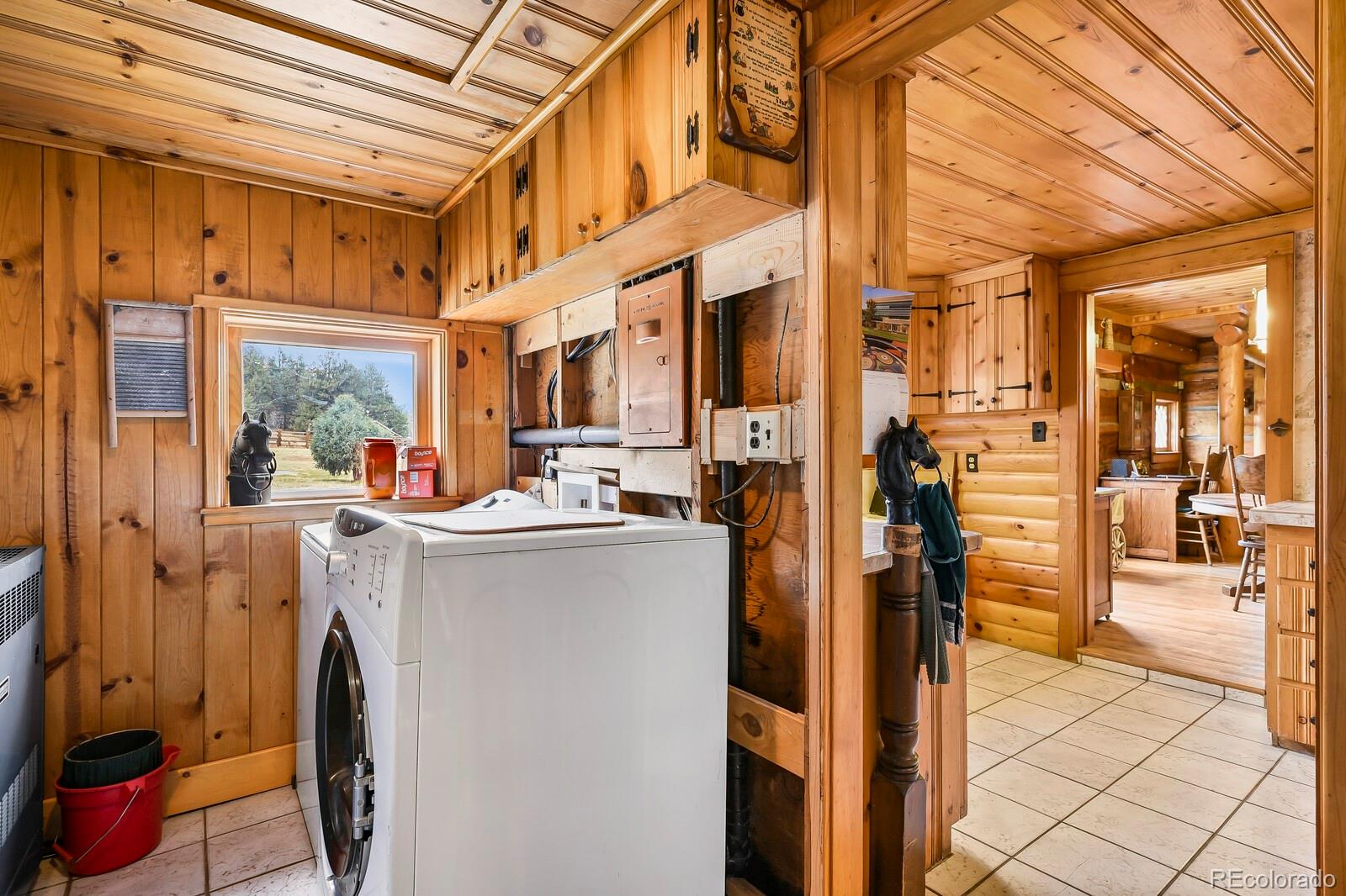 MLS Image #13 for 34801  county road 77 ,lake george, Colorado