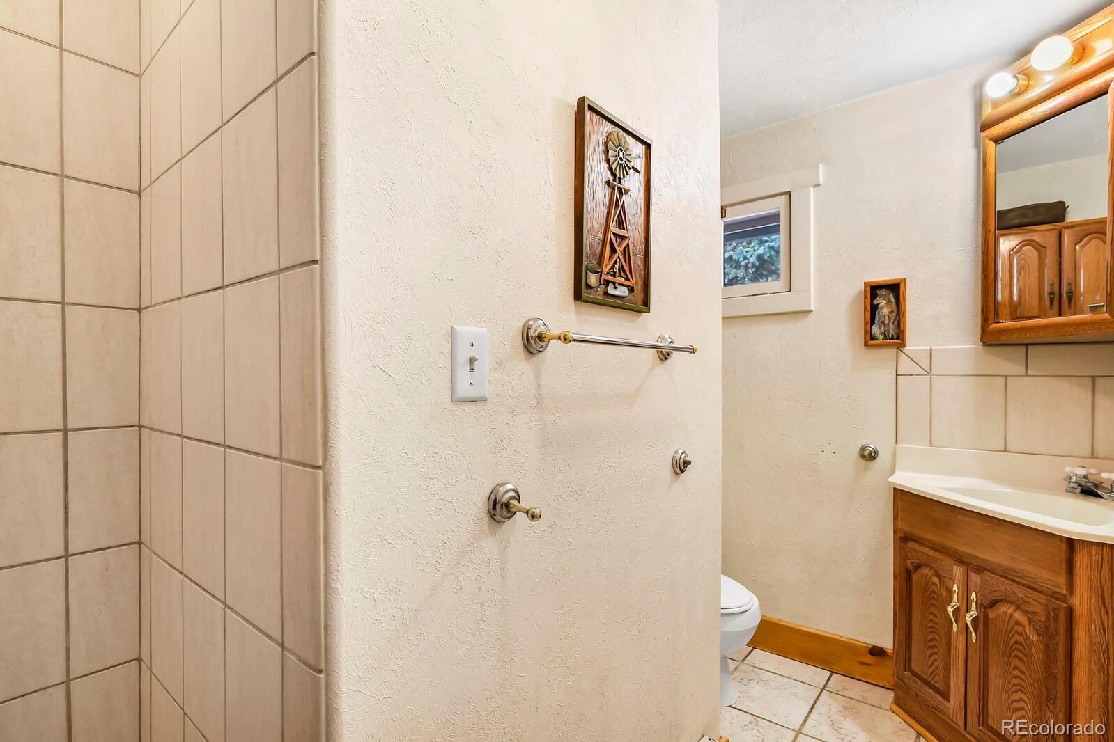 MLS Image #19 for 34801  county road 77 ,lake george, Colorado