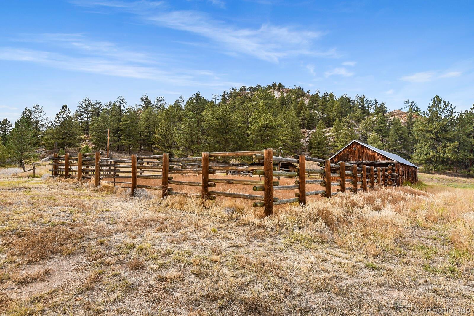 MLS Image #27 for 34801  county road 77 ,lake george, Colorado