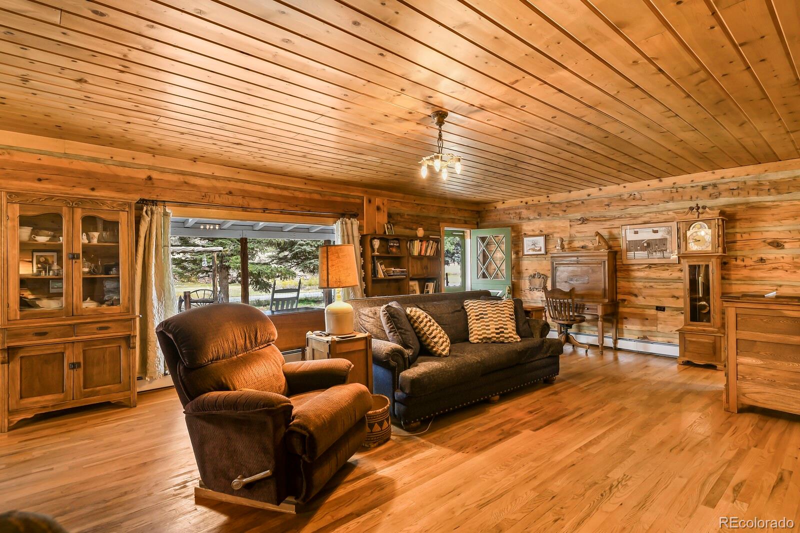 MLS Image #6 for 34801  county road 77 ,lake george, Colorado